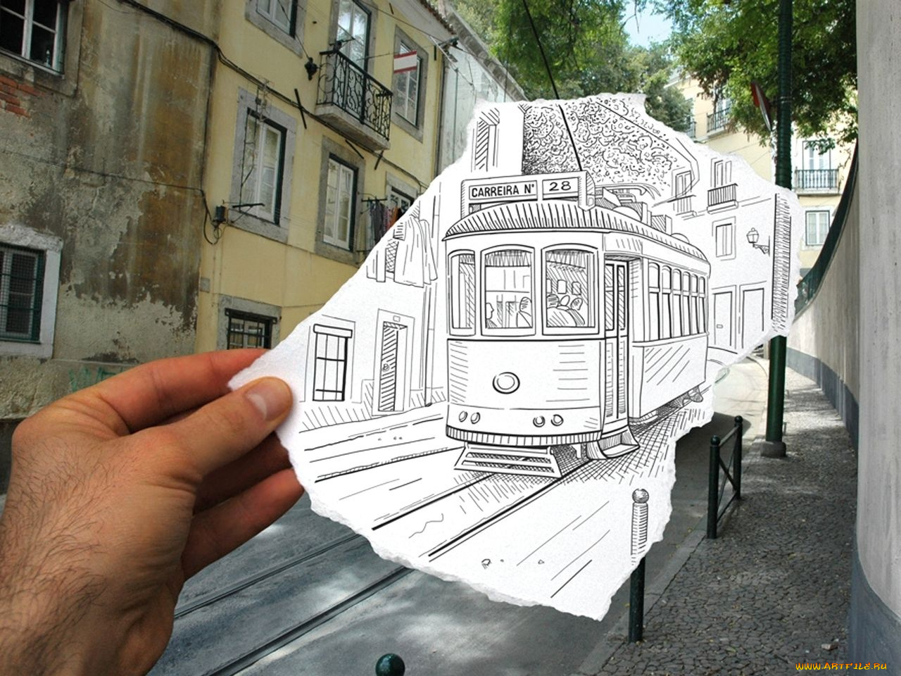 юмор, приколы