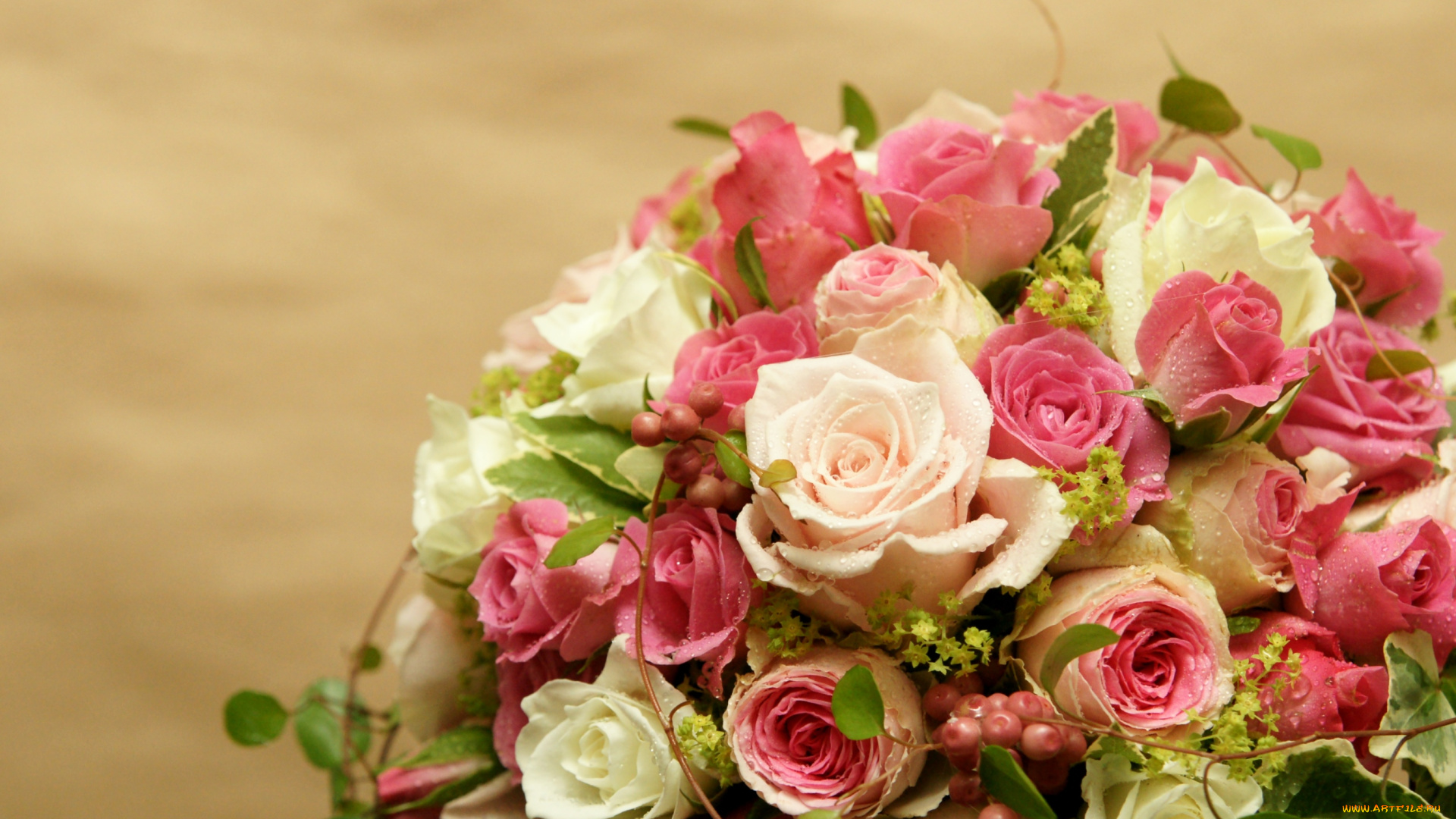 цветы, розы, букет, капли