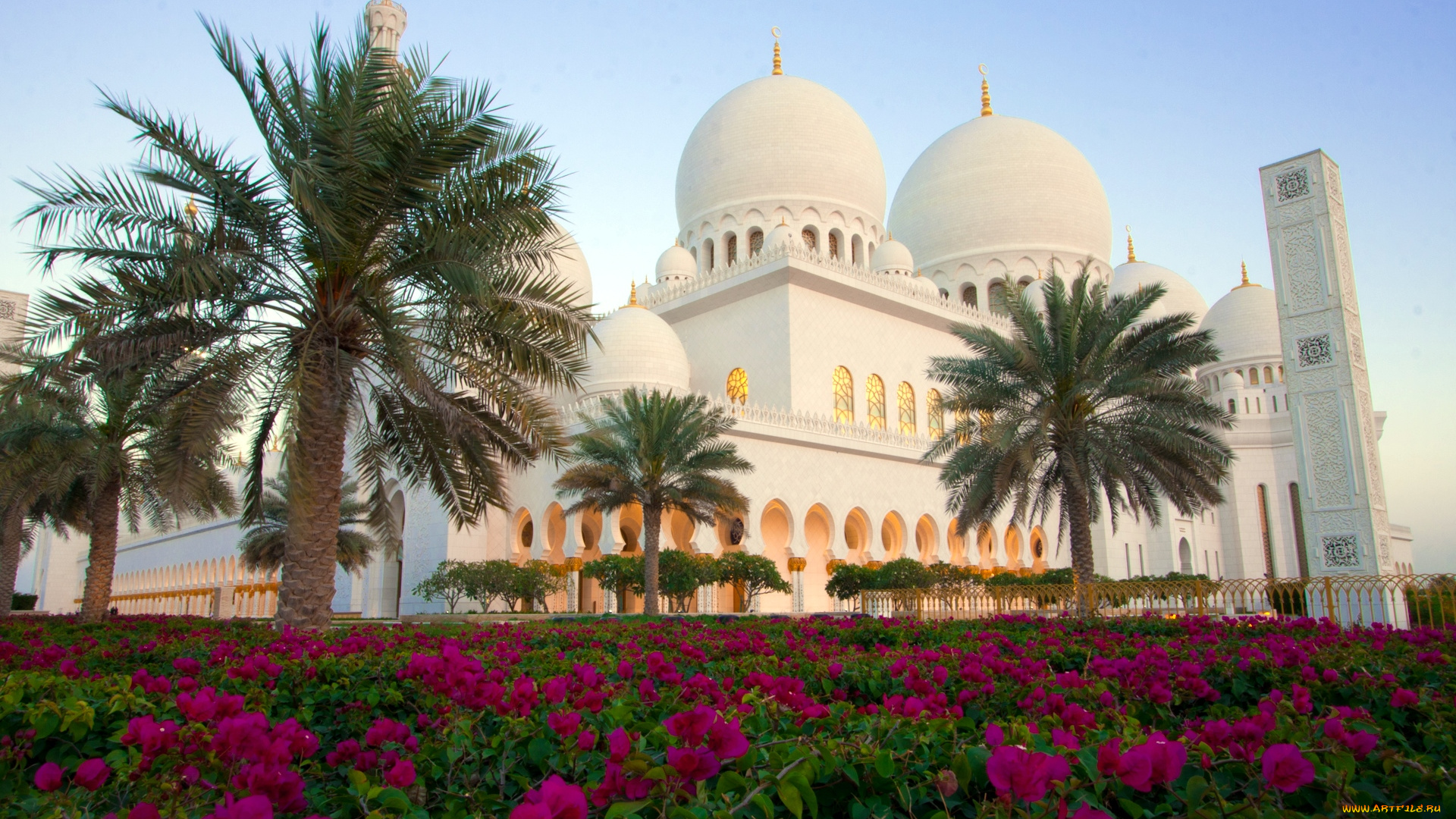 города, абу, даби, оаэ, мечеть, заида, цветы