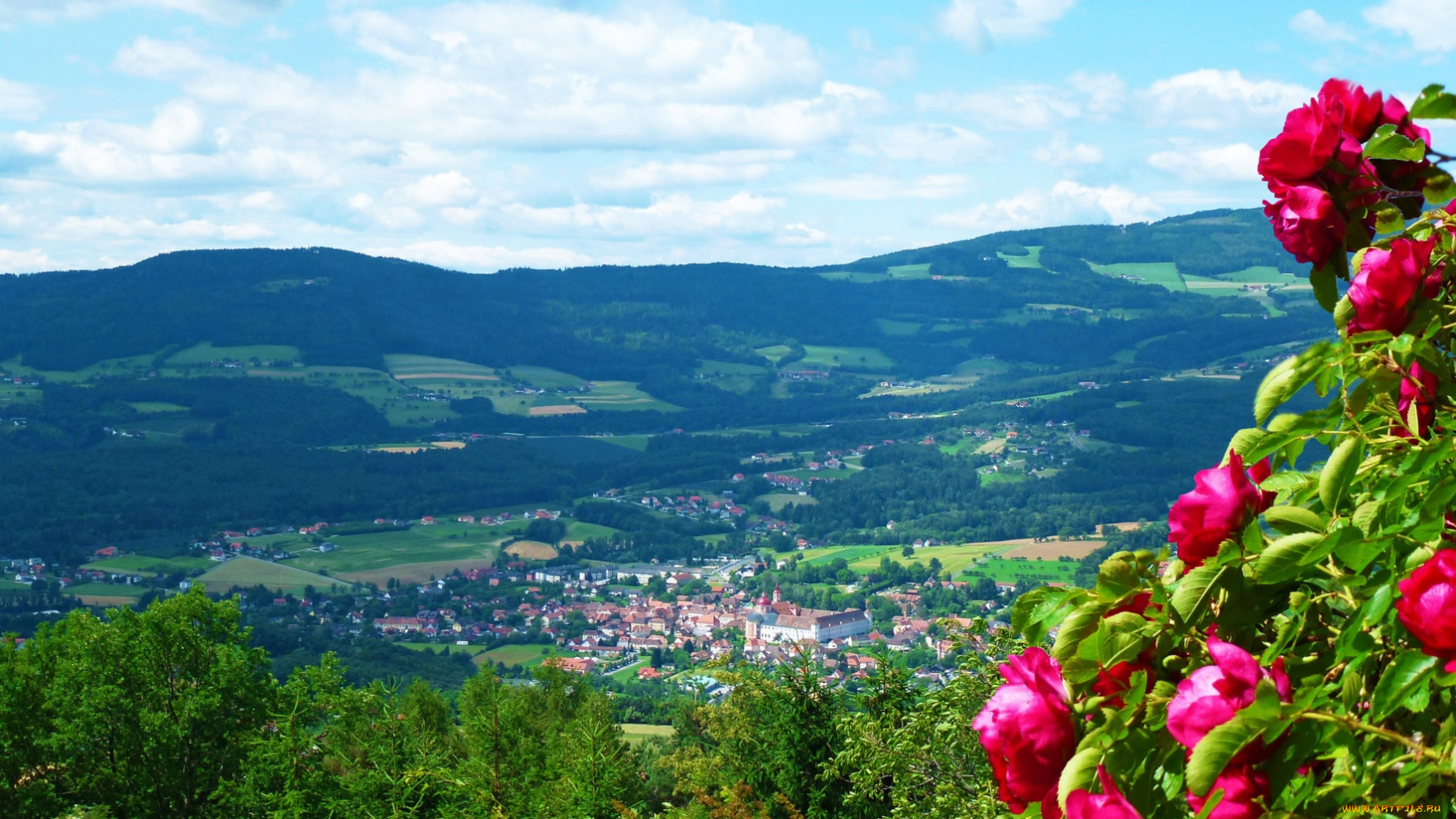 города, пейзажи, дома, панорама, городок, розы