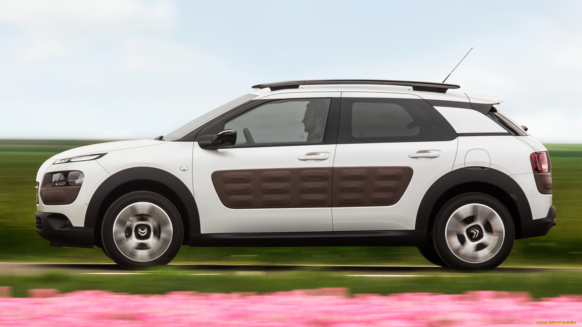 автомобили, citroen, 2014г, cactus, c4, citroеn