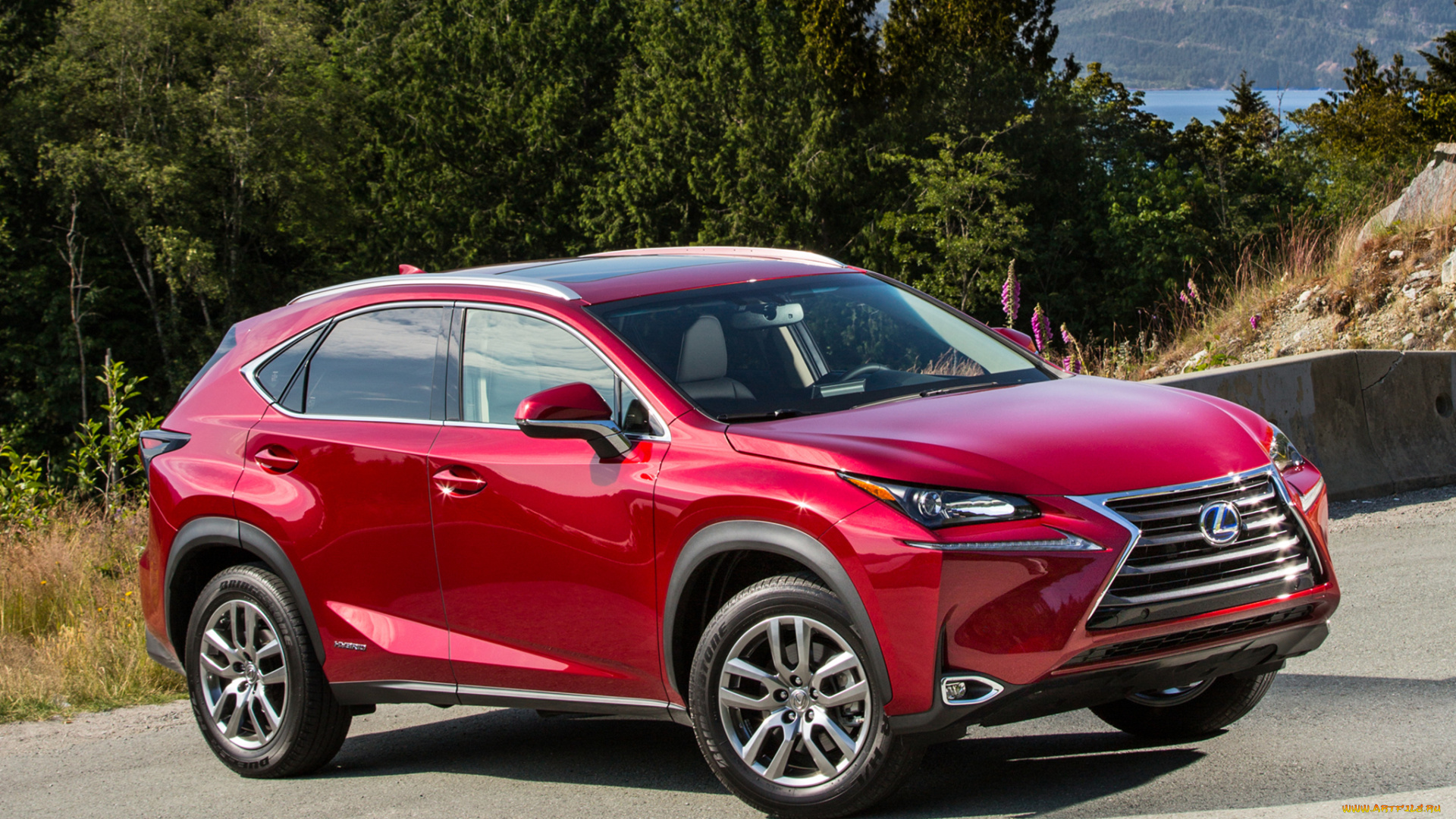 автомобили, lexus, 300h, красный, nx, 2015г