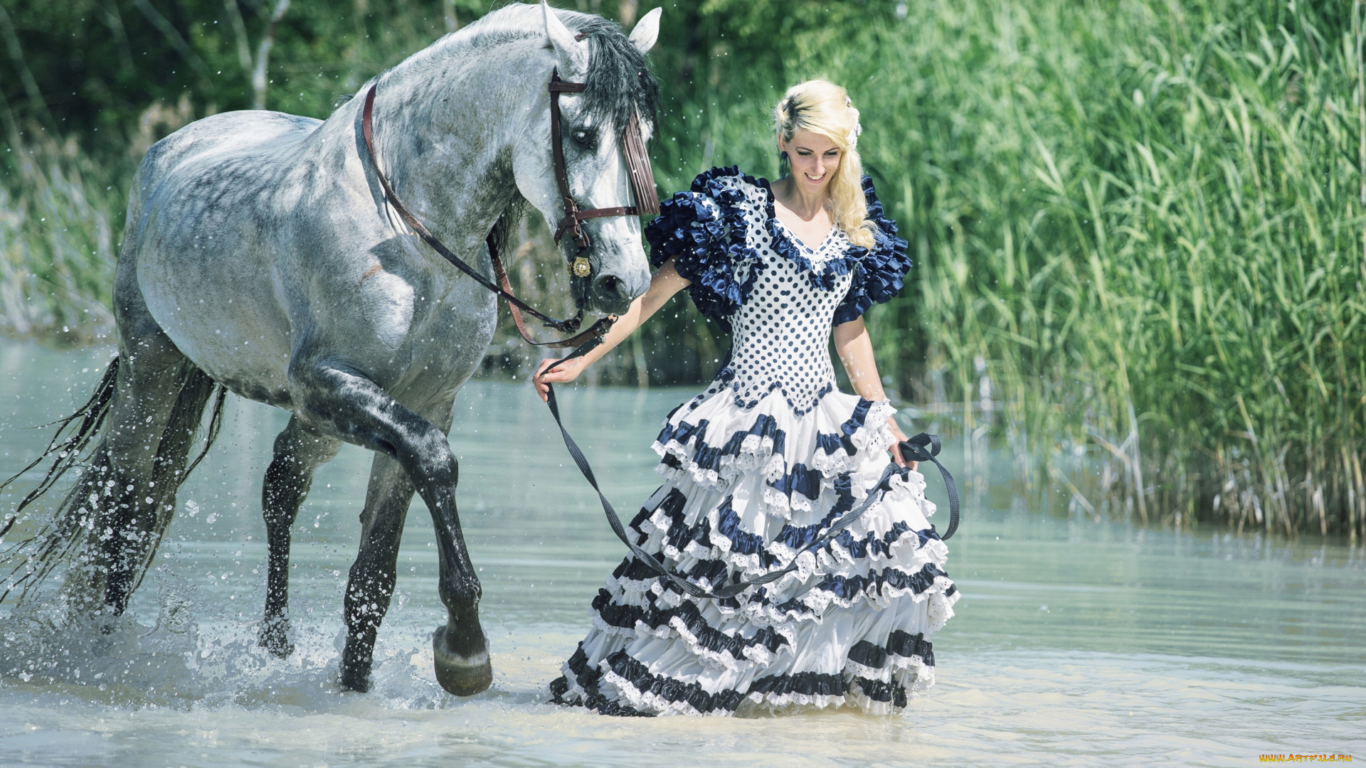 девушки, -unsort, , блондинки, платье, камыш, вода, конь, настроение, прогулка