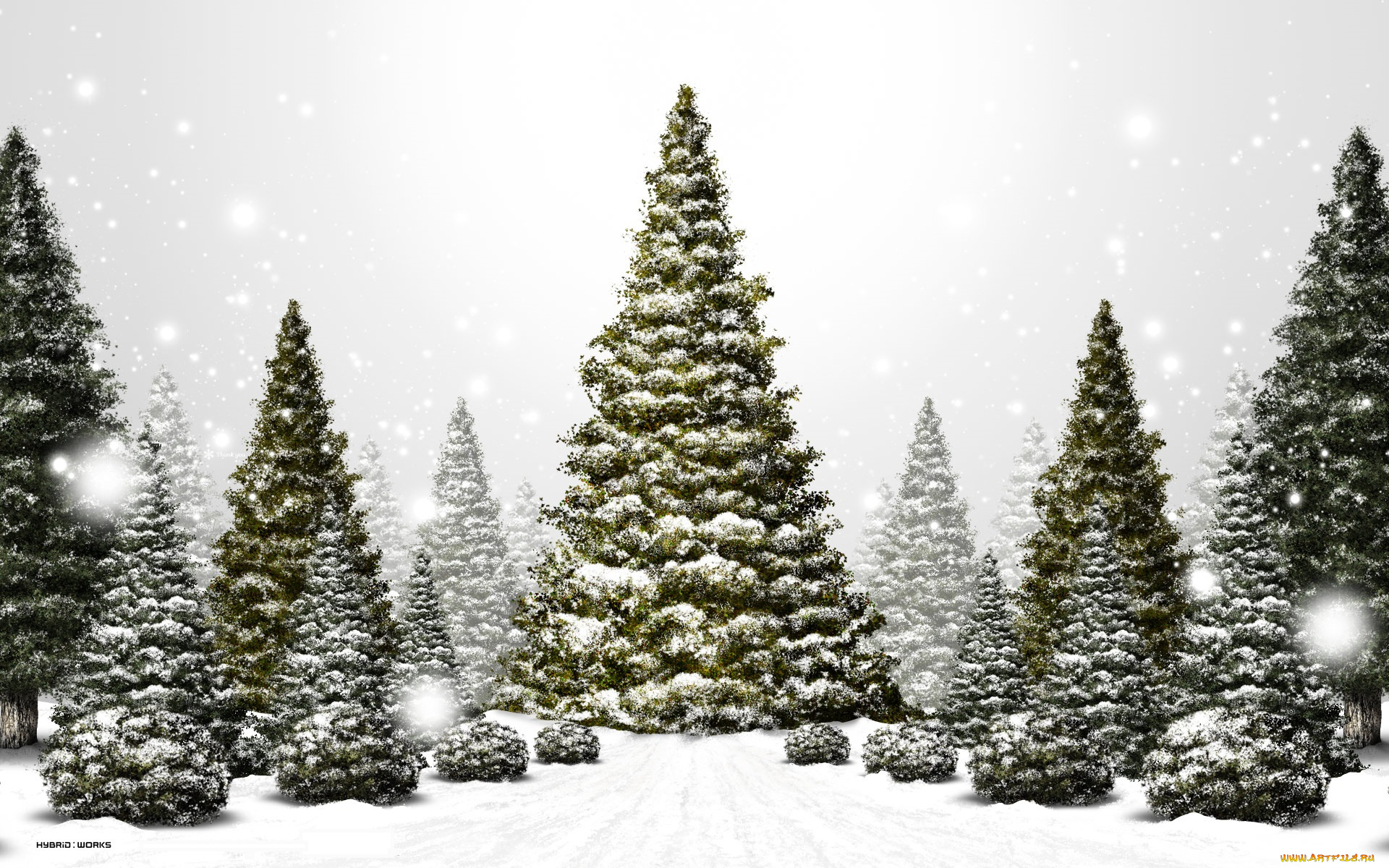 3д, графика, природа, , nature, снег, ели