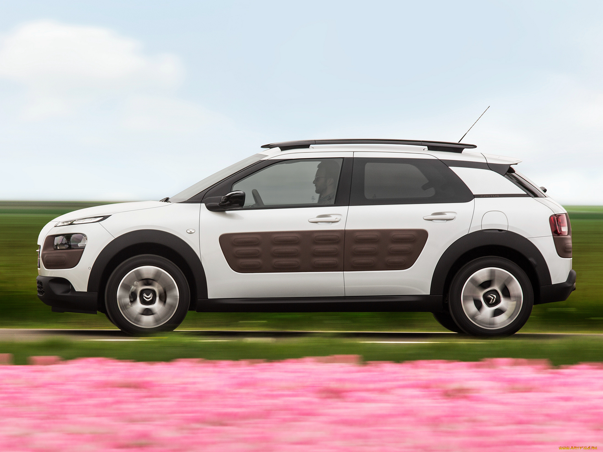 автомобили, citroen, 2014г, cactus, c4, citroеn
