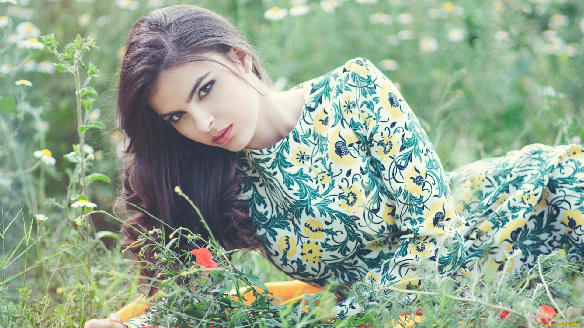 mercedes, pe&, 241, девушки, -unsort, , брюнетки, , шатенки, цветы, трава, поле, брюнетка, платье, взгляд