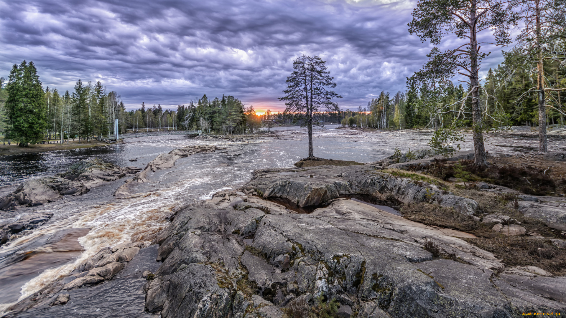 природа, реки, озера, лес, река