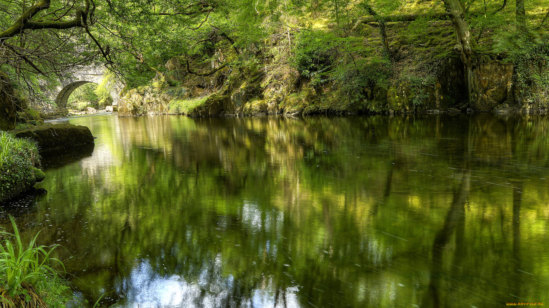 природа, реки, озера, река, лес