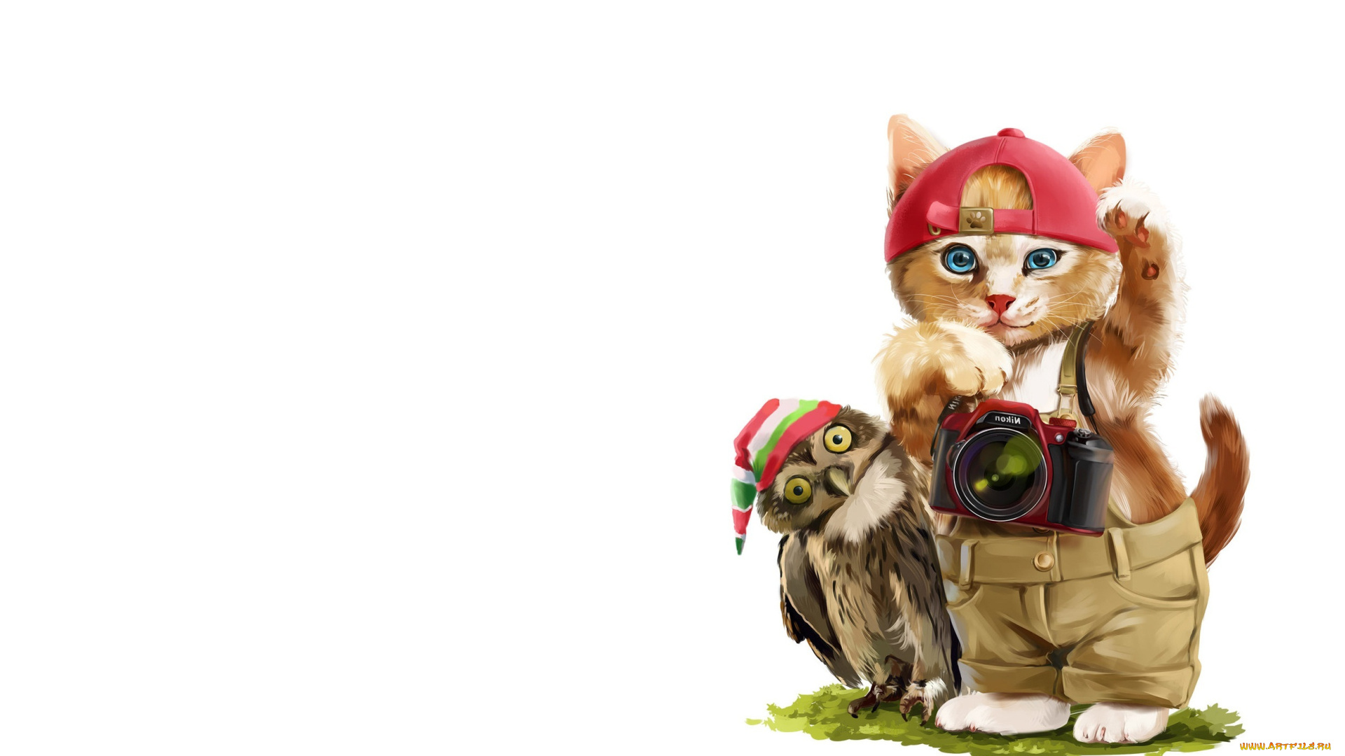 рисованное, животные, , коты, кот, детская, арт, lorri, kajenna, сова