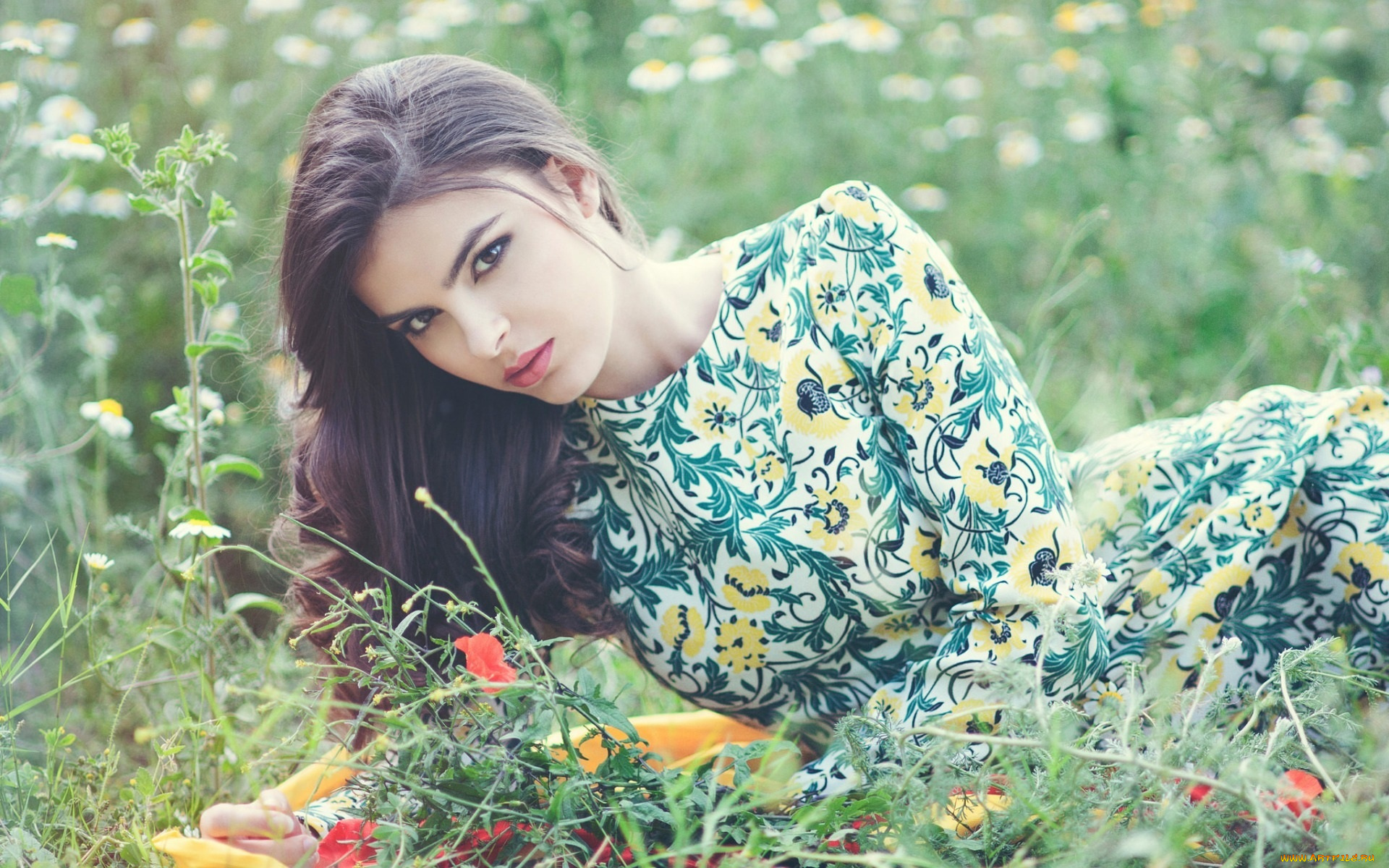 mercedes, pe&, 241, девушки, -unsort, , брюнетки, , шатенки, цветы, трава, поле, брюнетка, платье, взгляд