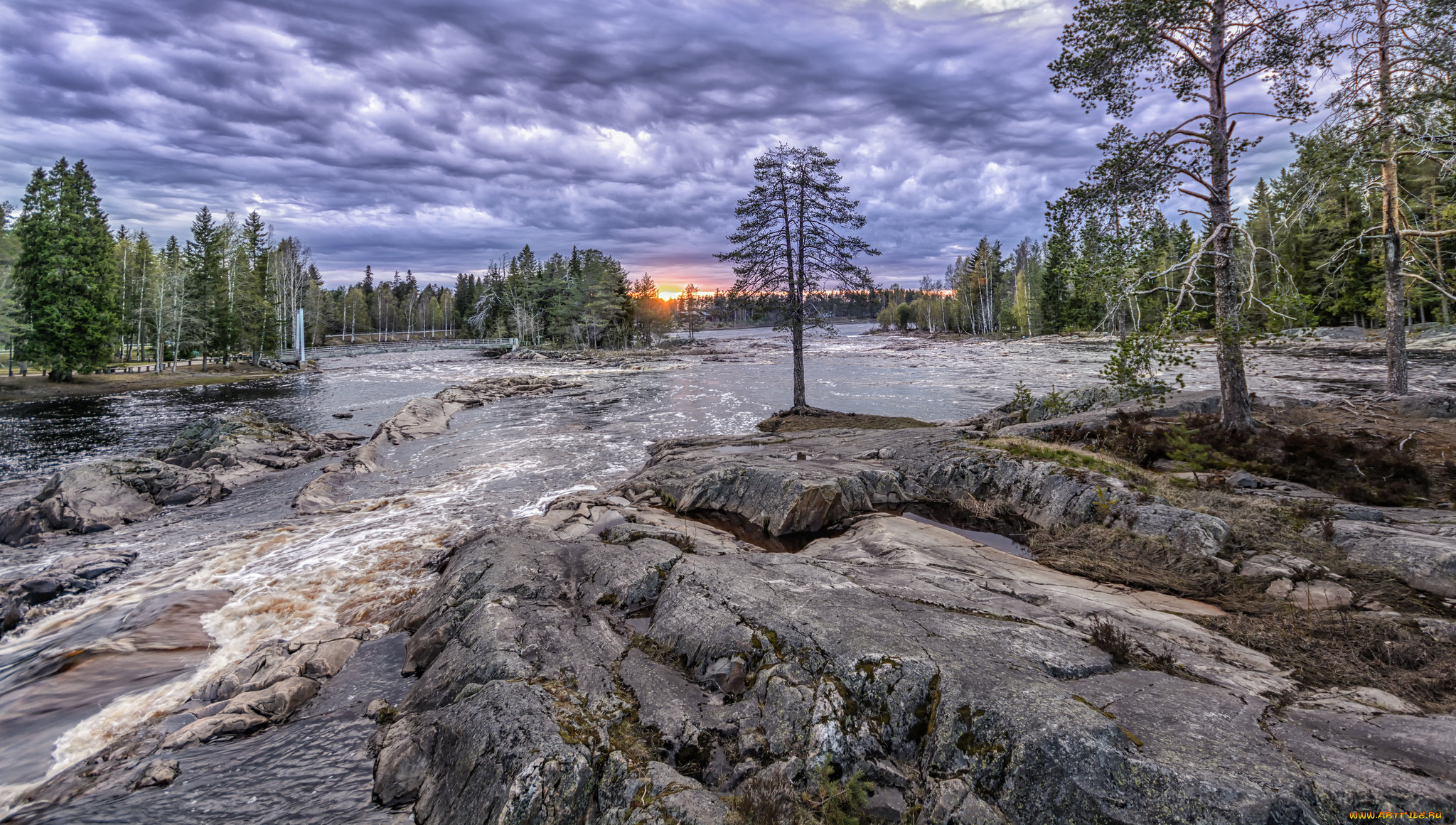 природа, реки, озера, лес, река