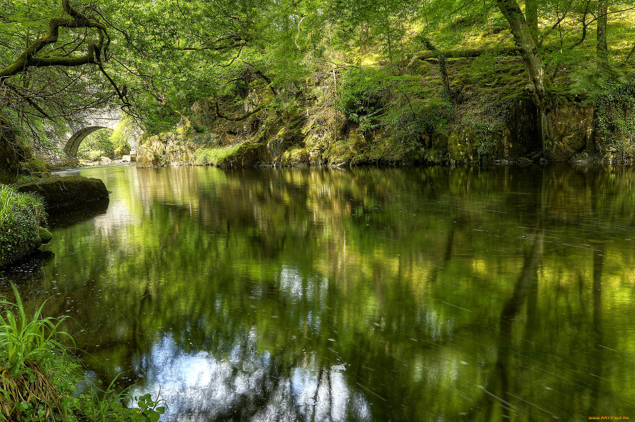 природа, реки, озера, река, лес