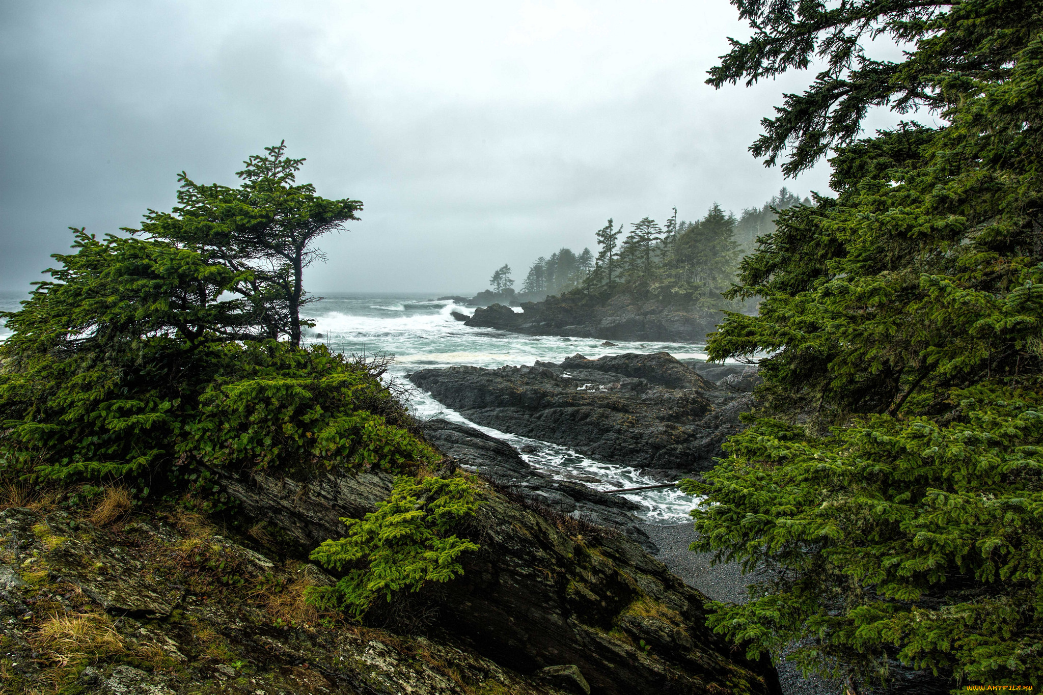 природа, побережье, берег, море