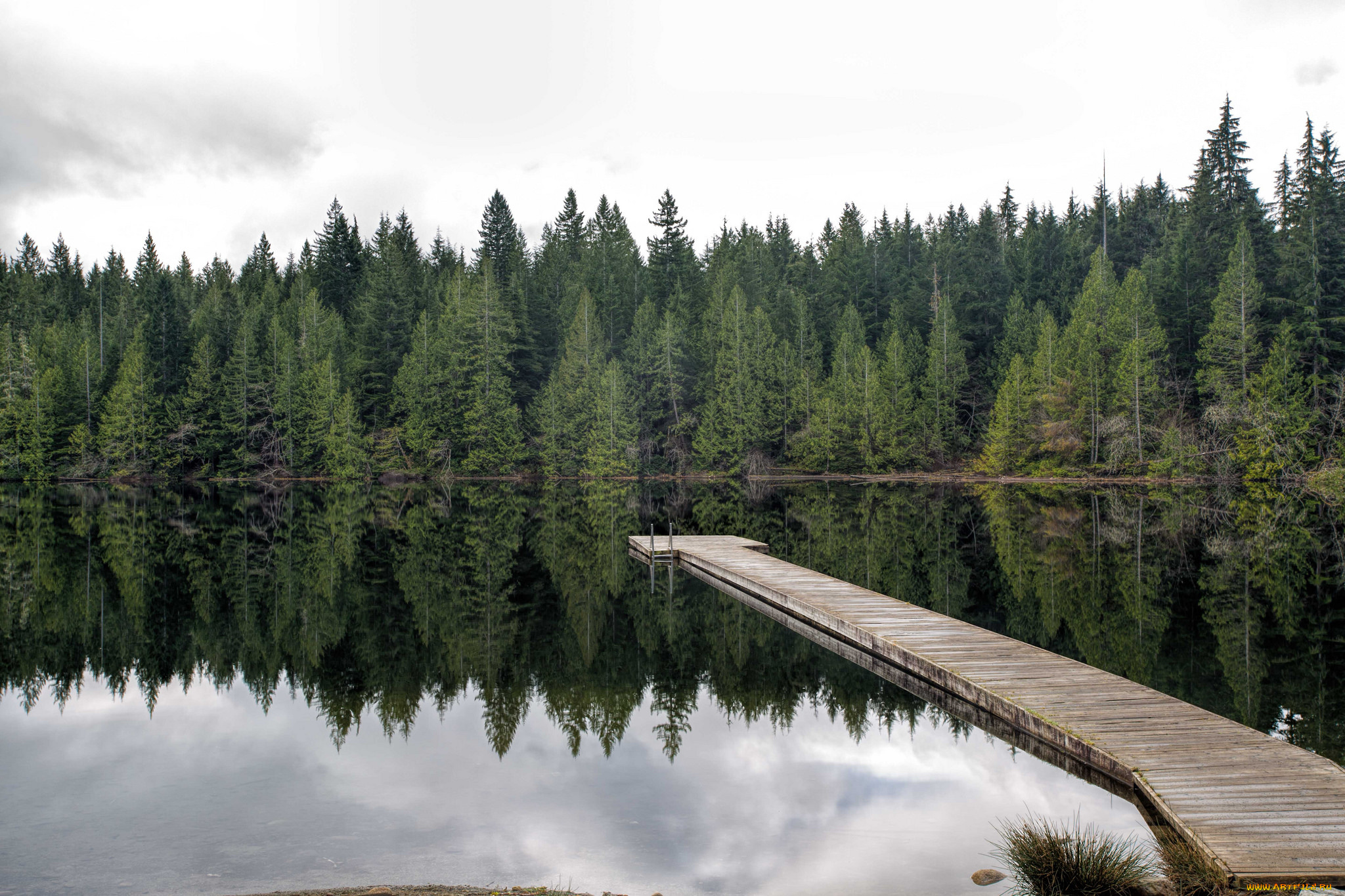 природа, реки, озера, река, лес