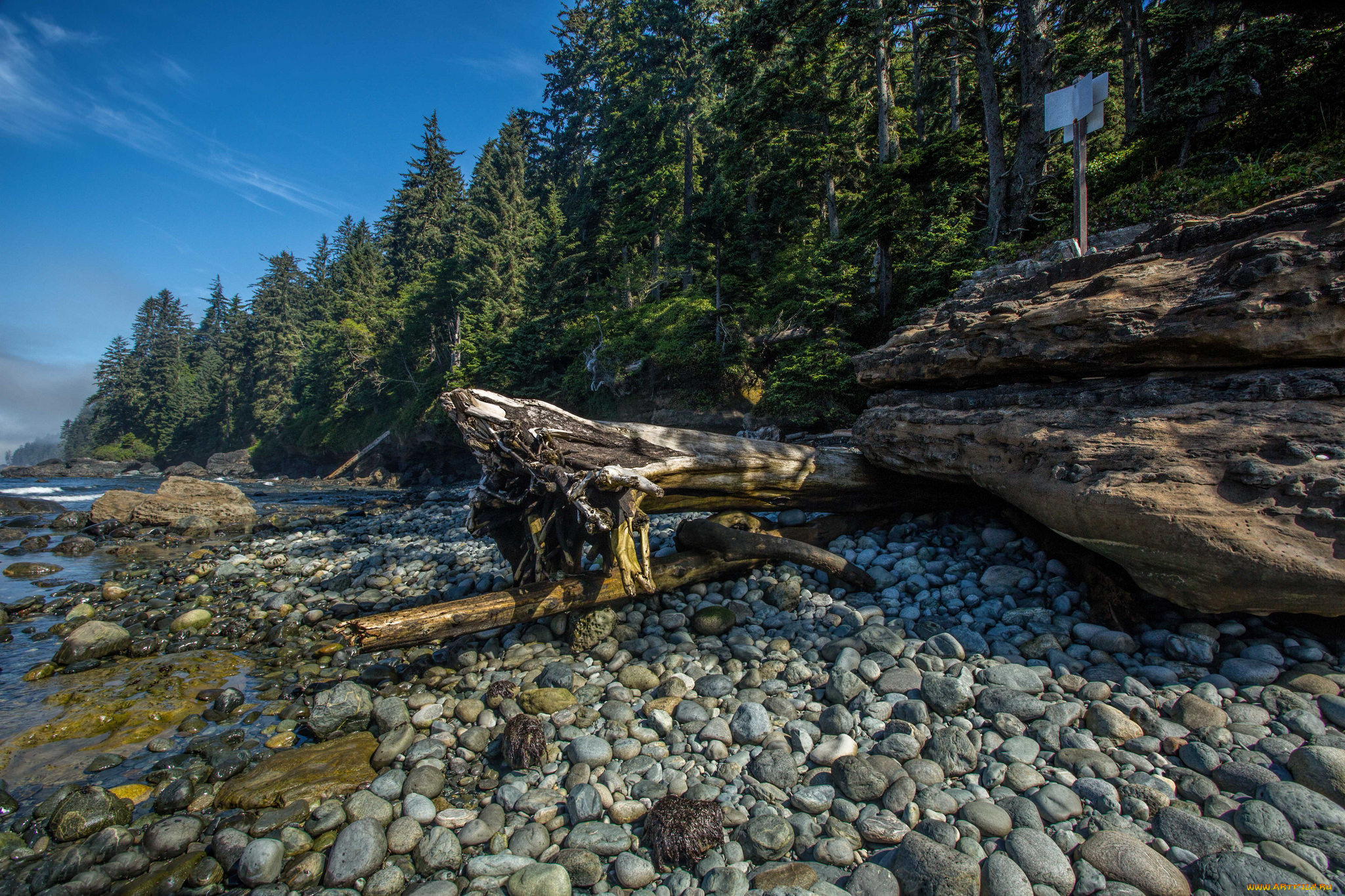 природа, реки, озера, река, лес