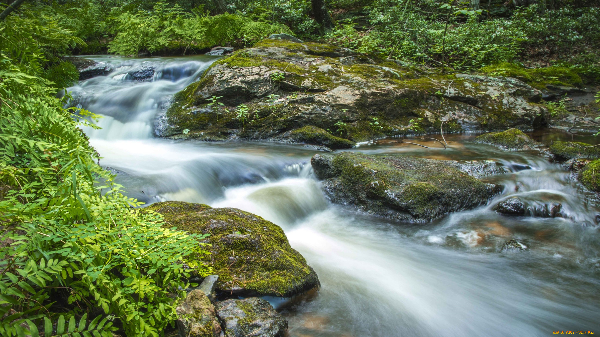 природа, реки, озера, камни, поток, зелень, вода