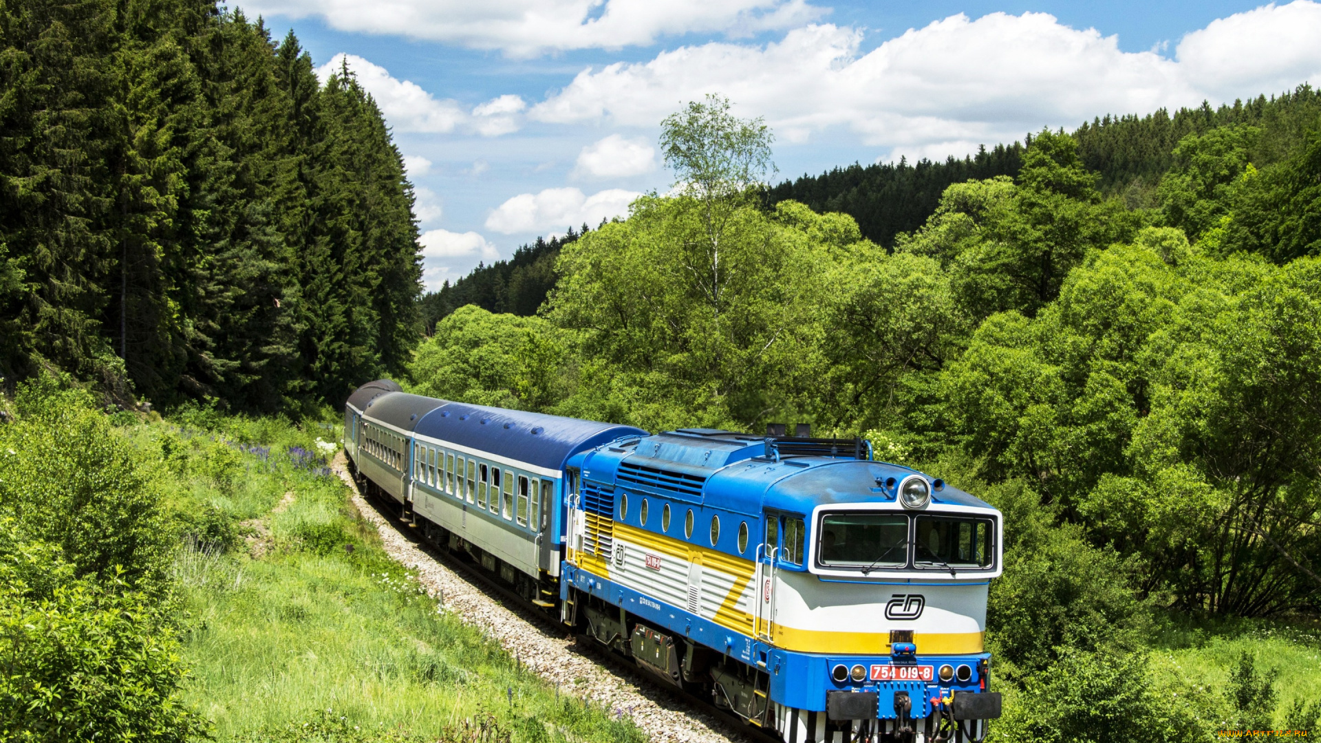 техника, локомотивы, локомотив, железная, дорога, небо, лес, деревья, вагоны