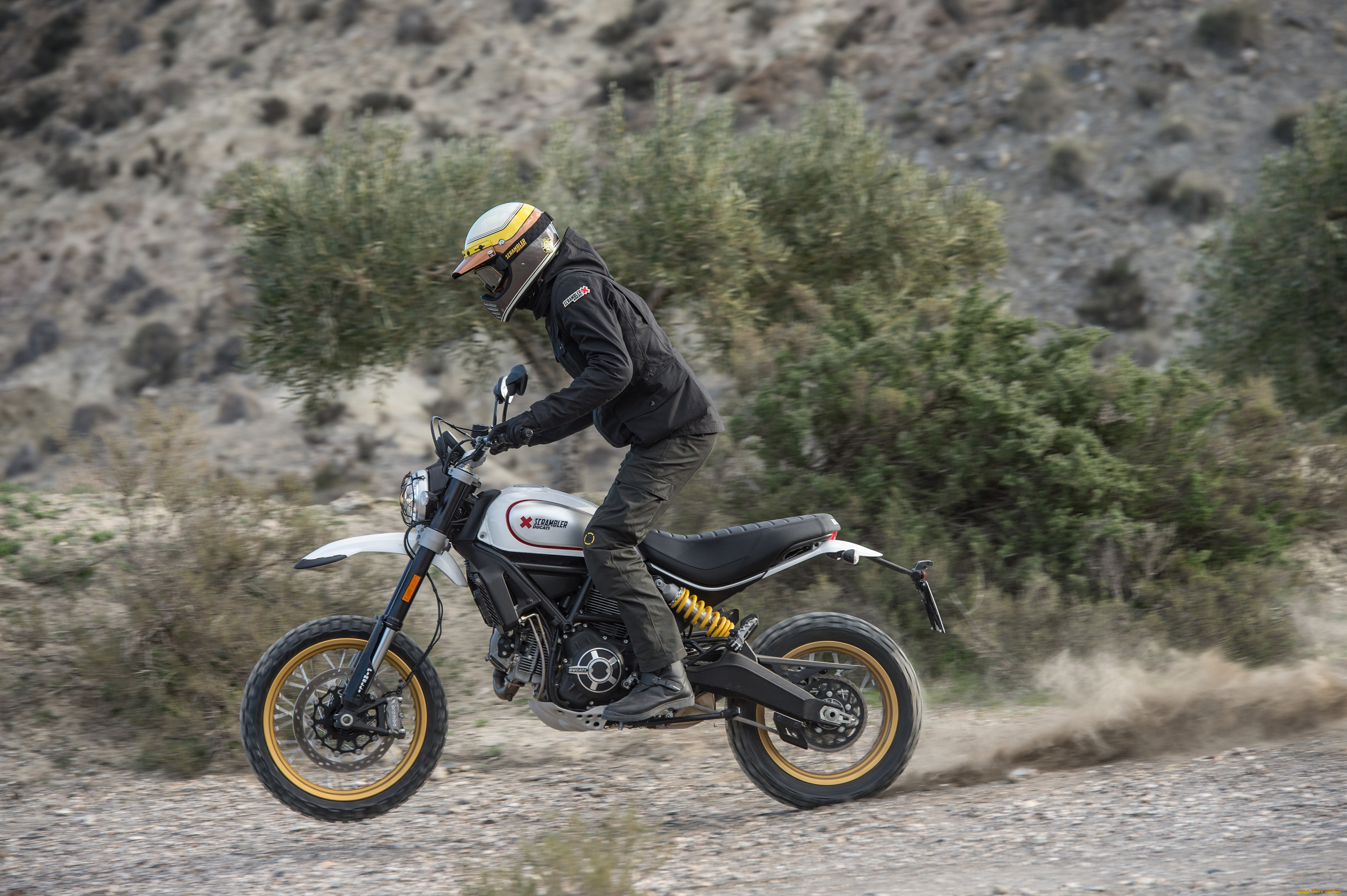 мотоциклы, ducati