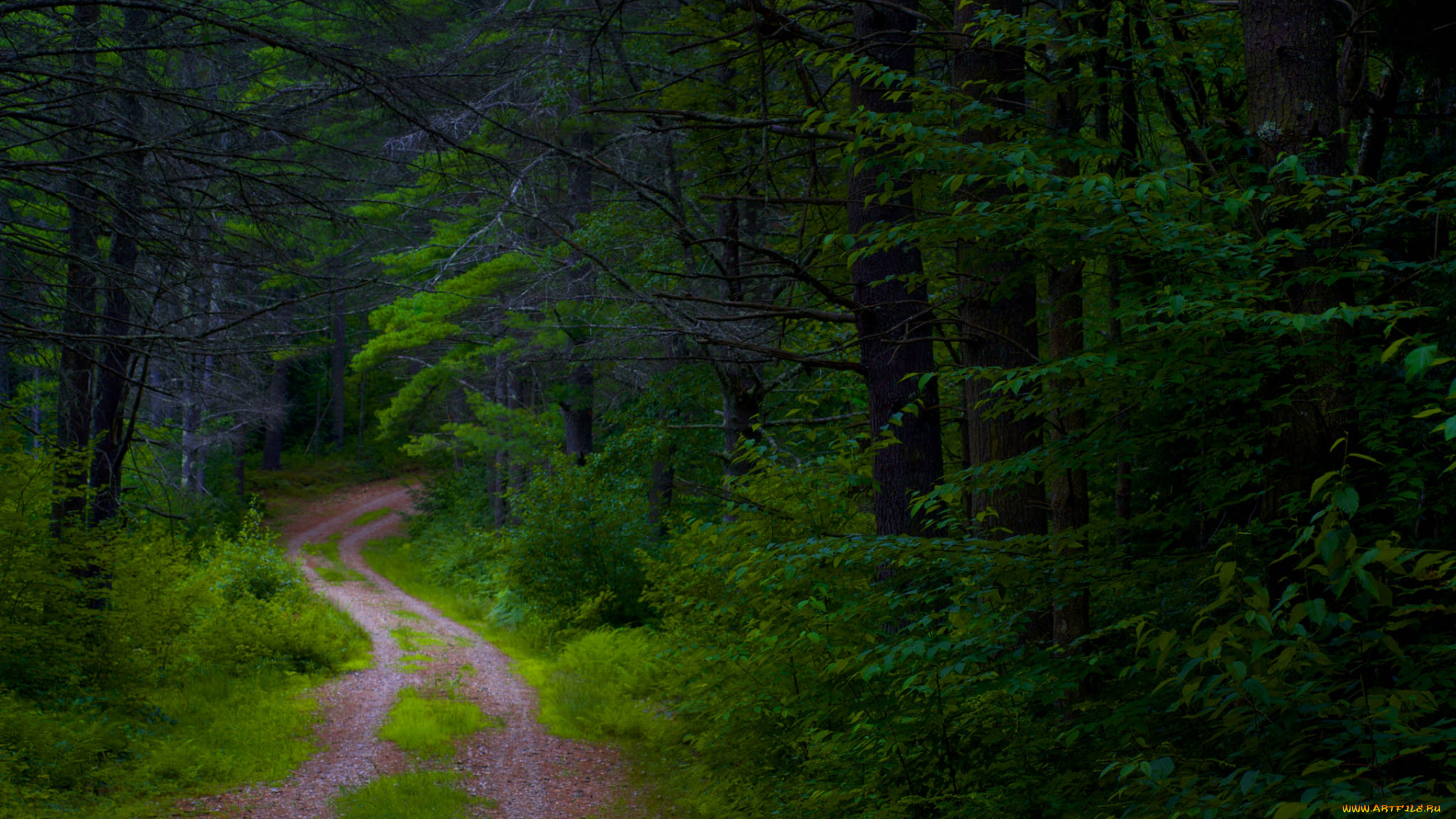 природа, дороги, простор