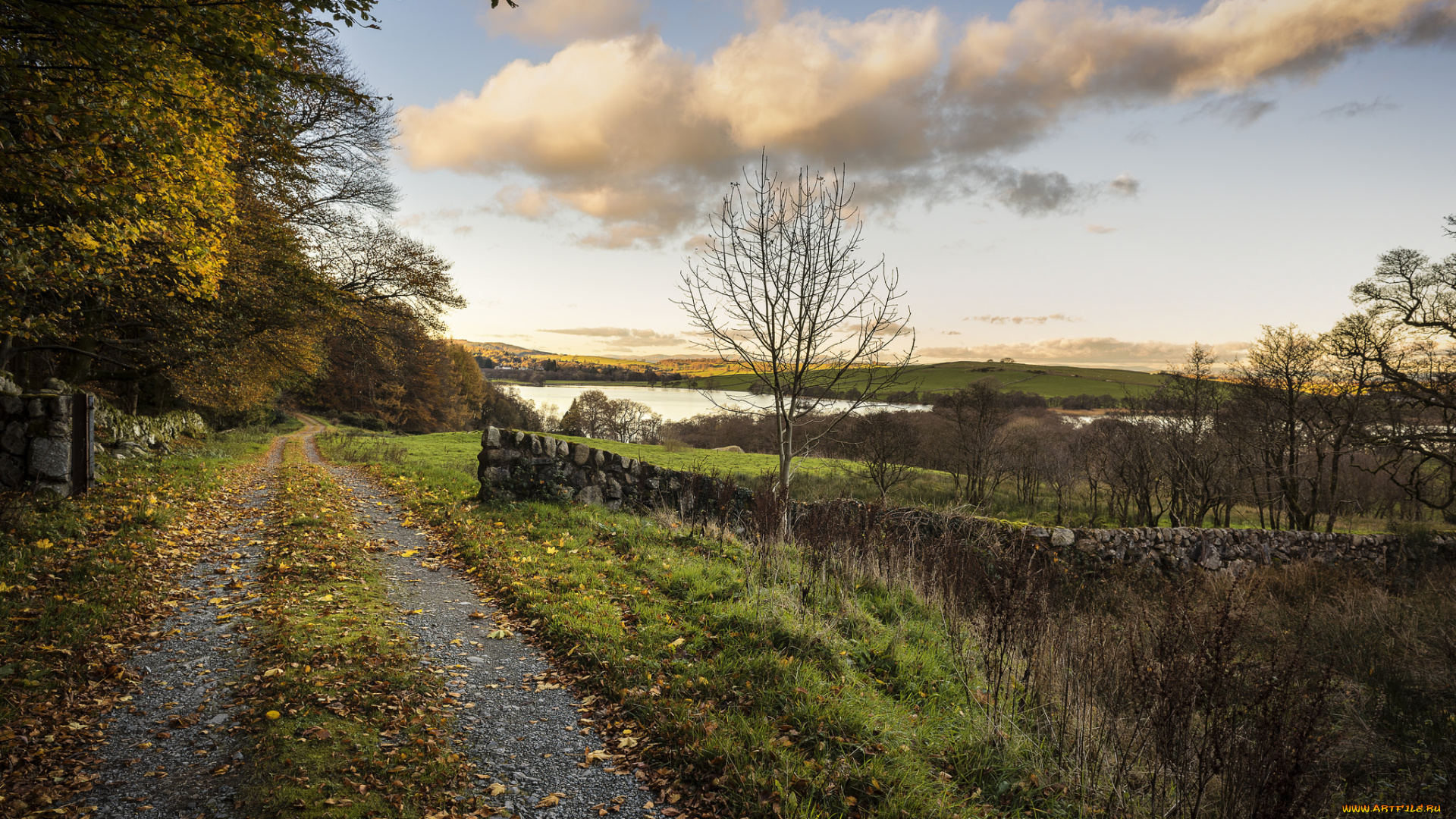 природа, дороги, простор