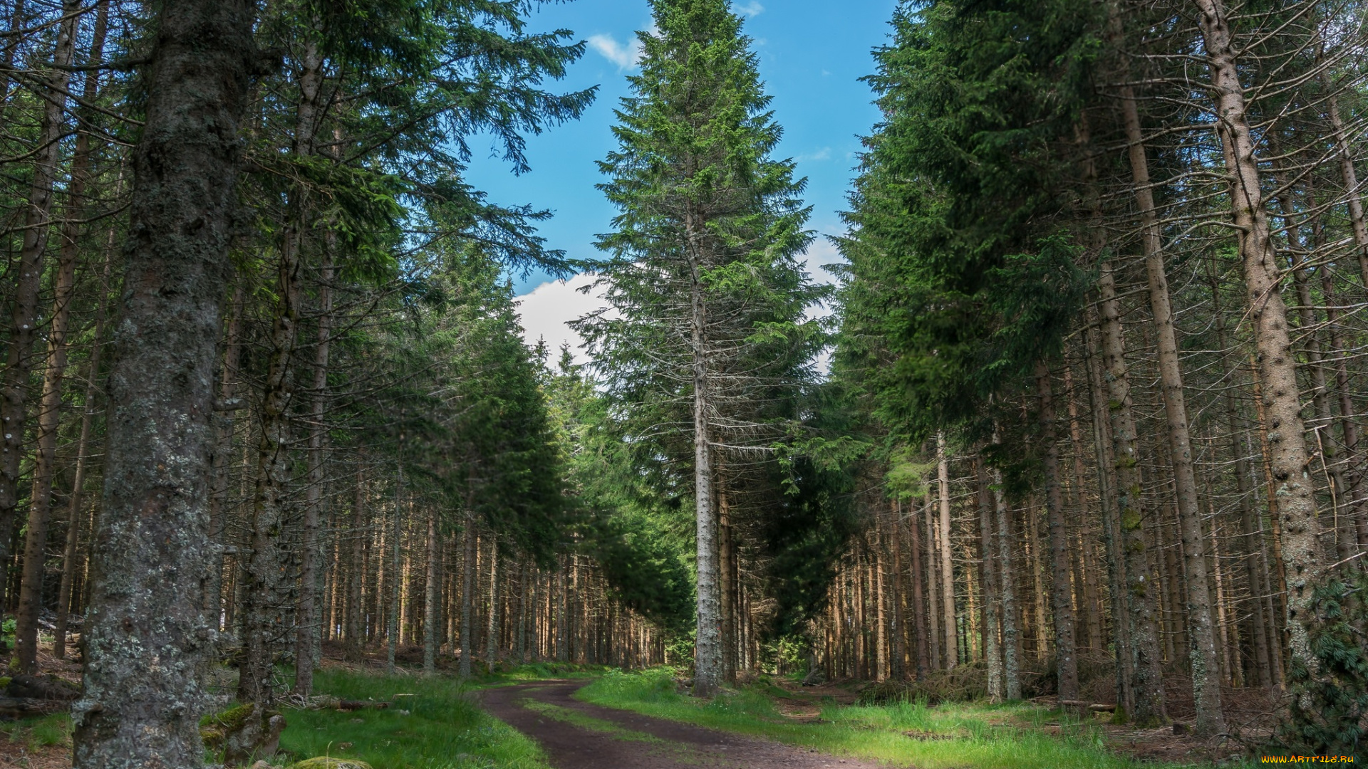 природа, дороги, простор