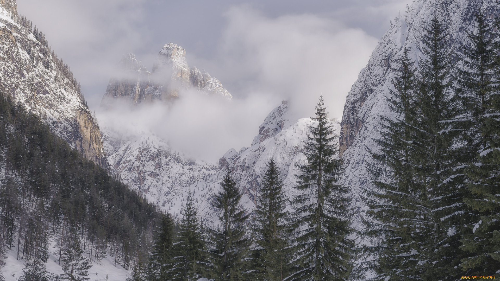 природа, горы, простор