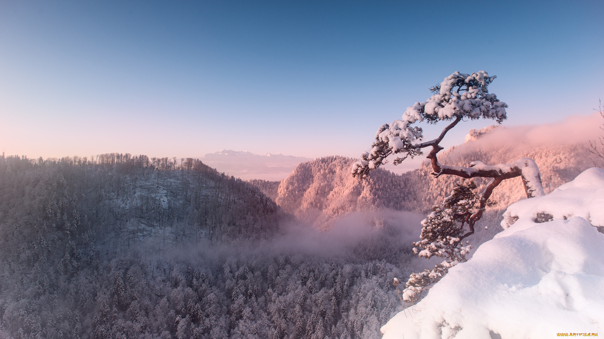 природа, горы, простор