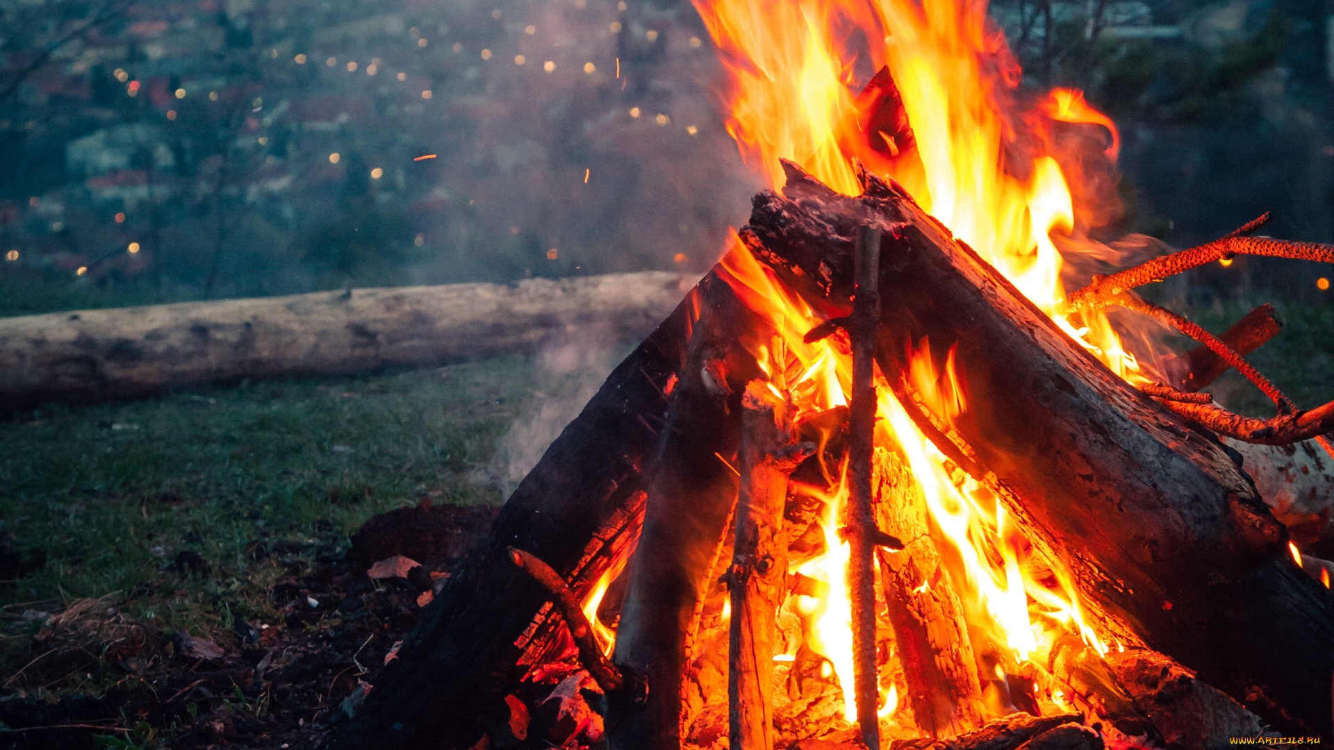 природа, огонь, пламя, костер