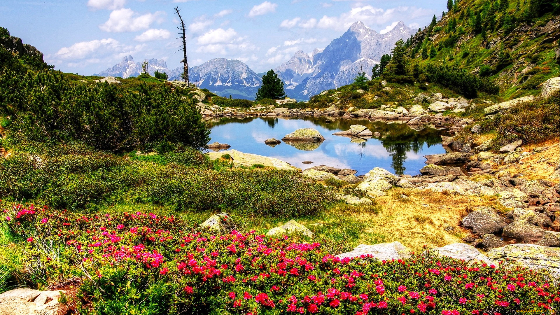 природа, пейзажи, горы, камни, озеро