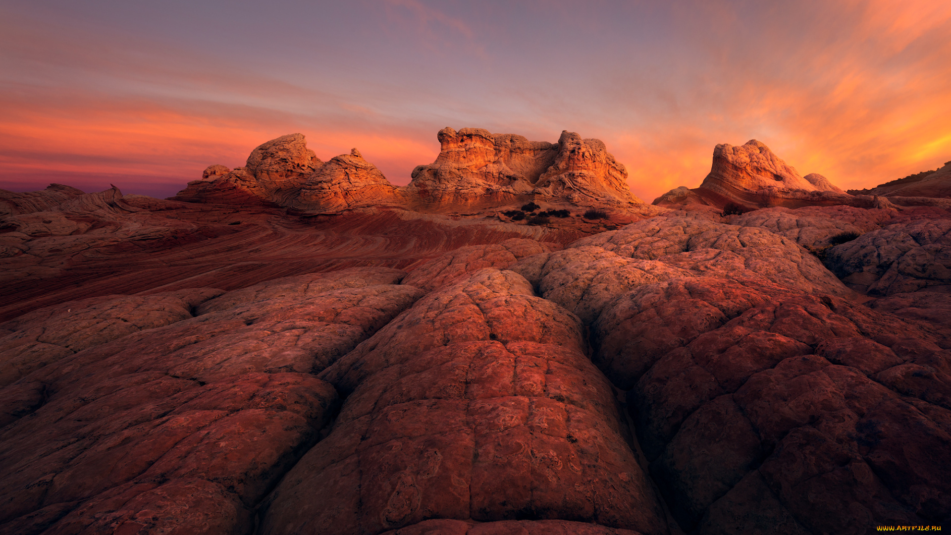 природа, пустыни, простор