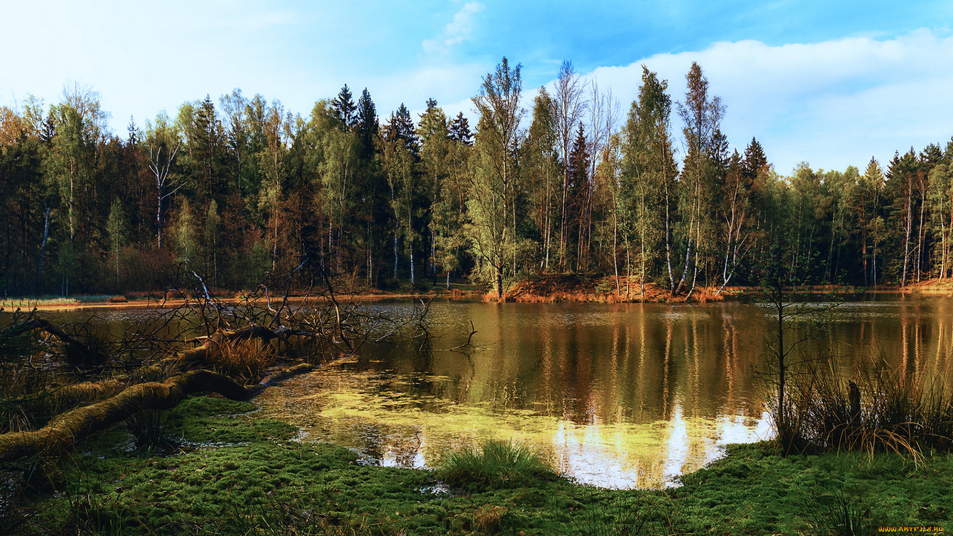 природа, реки, озера, простор