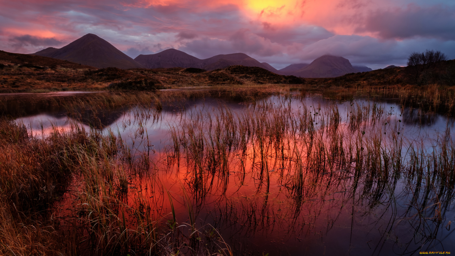 природа, реки, озера, простор