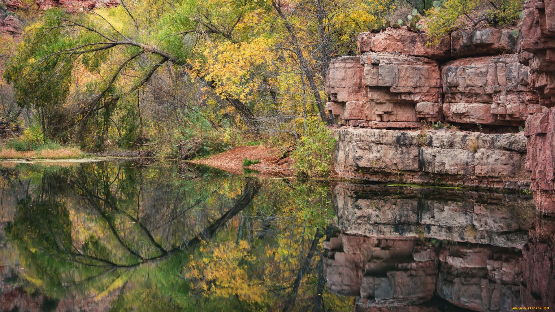 природа, реки, озера, простор