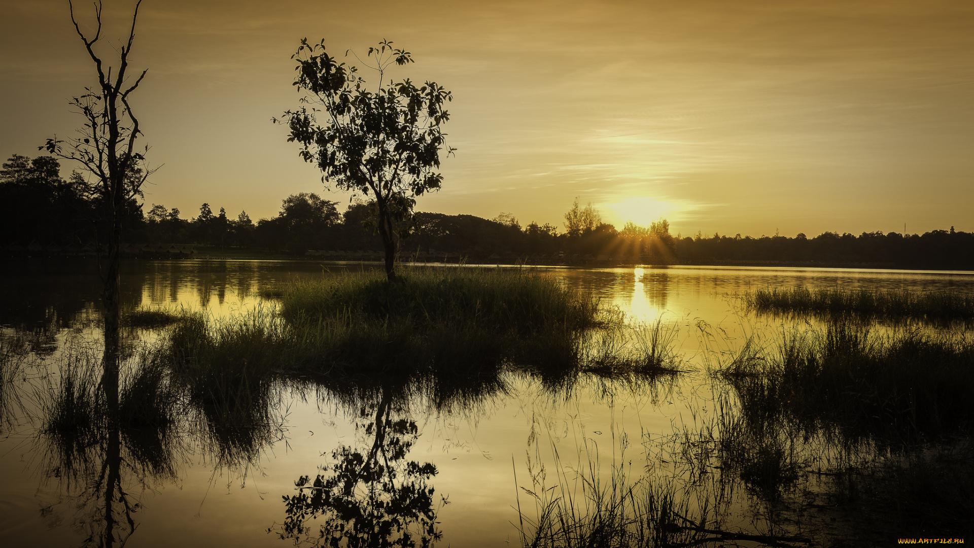 природа, реки, озера, простор