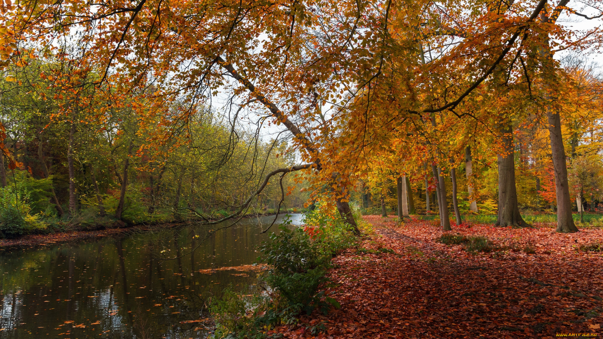 природа, реки, озера, простор