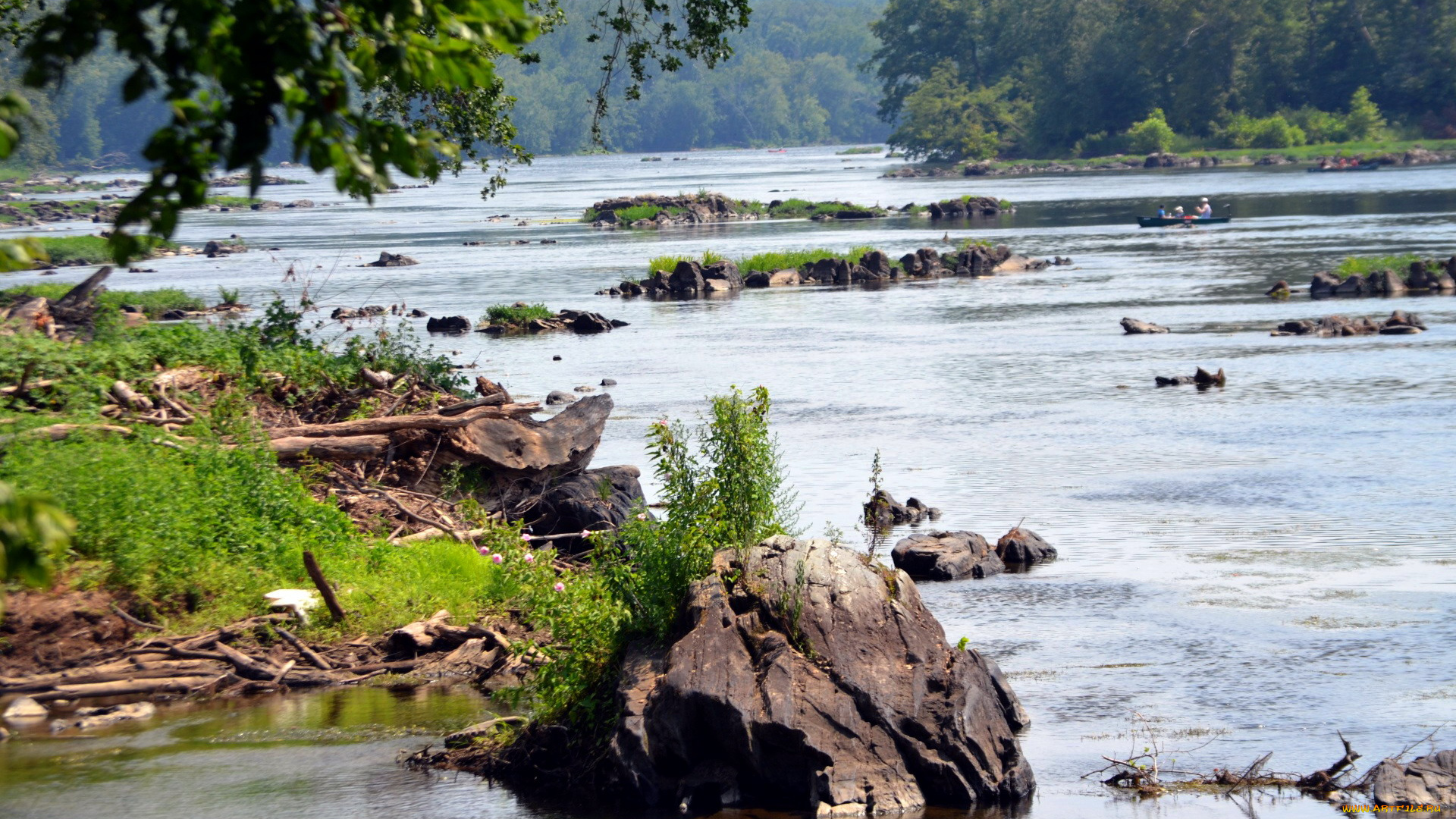 природа, реки, озера, река