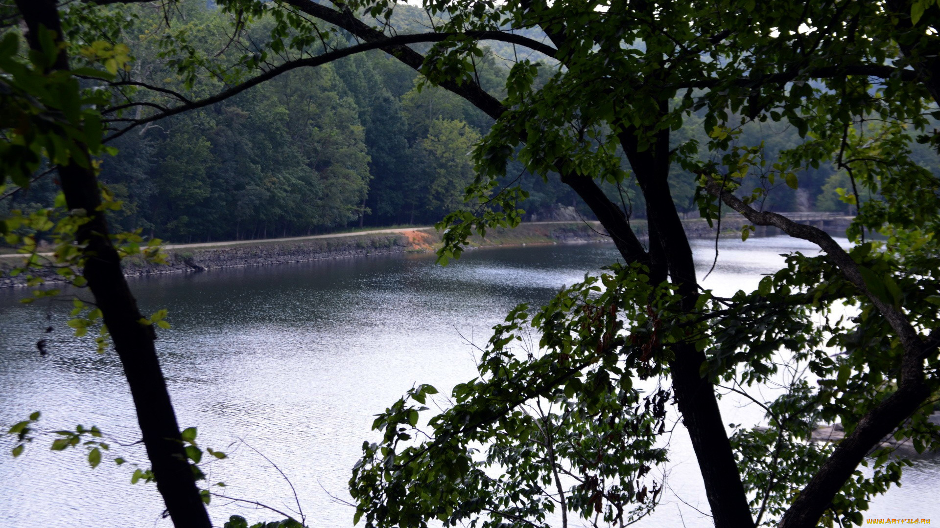 природа, реки, озера, река