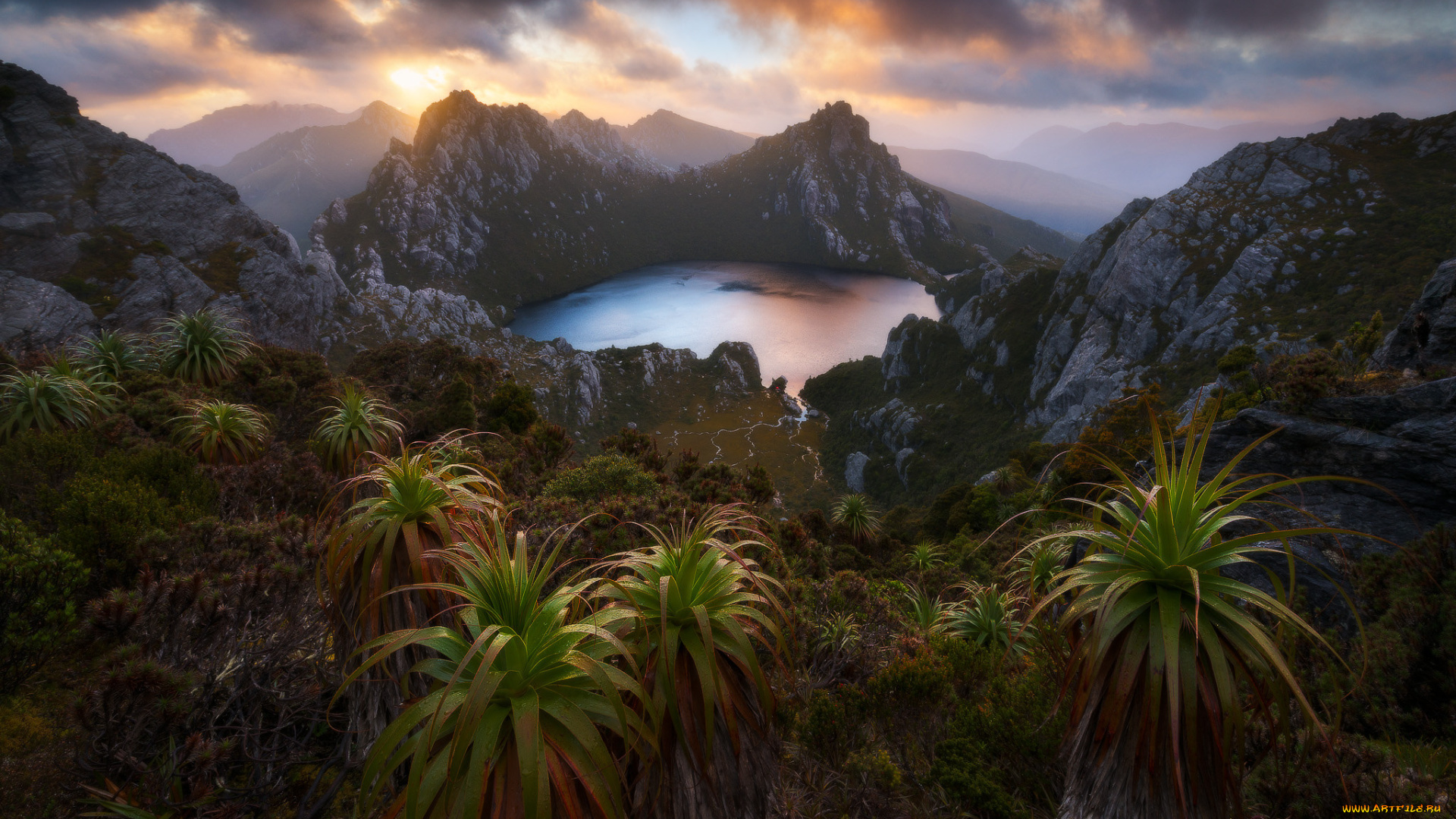 природа, тропики, простор