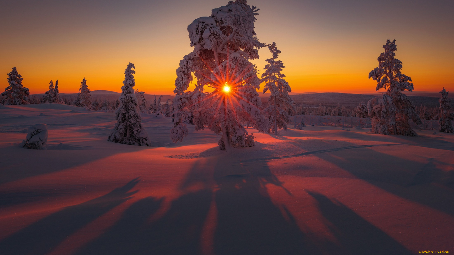 природа, зима, простор