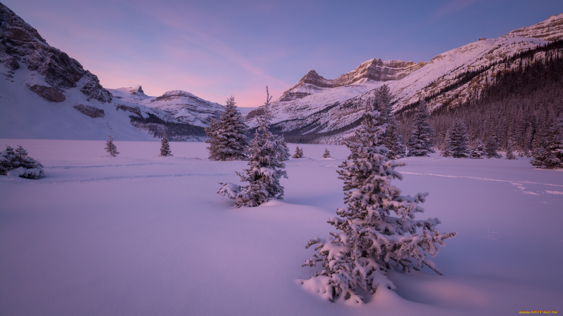 природа, зима, простор