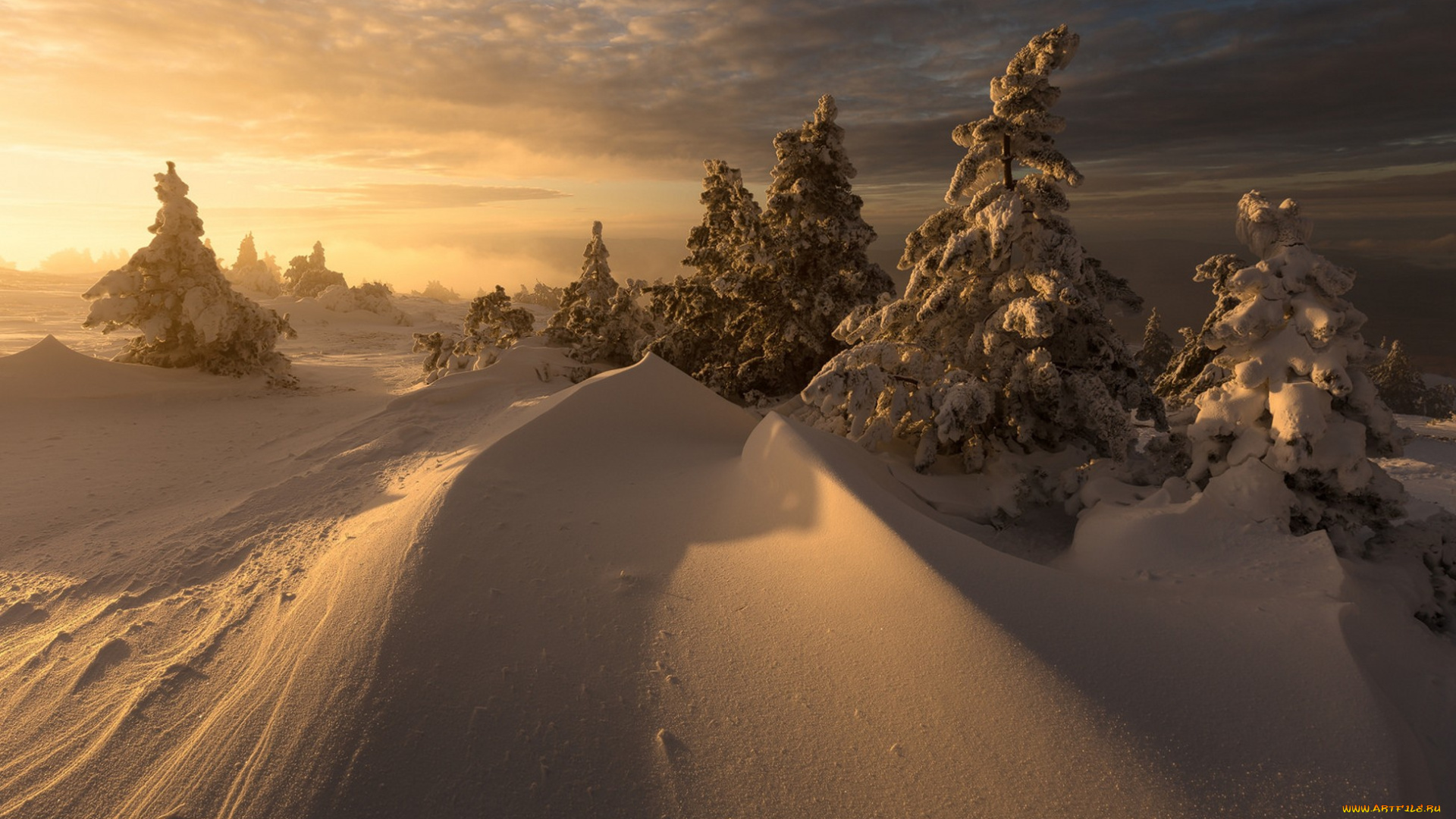 природа, зима, простор