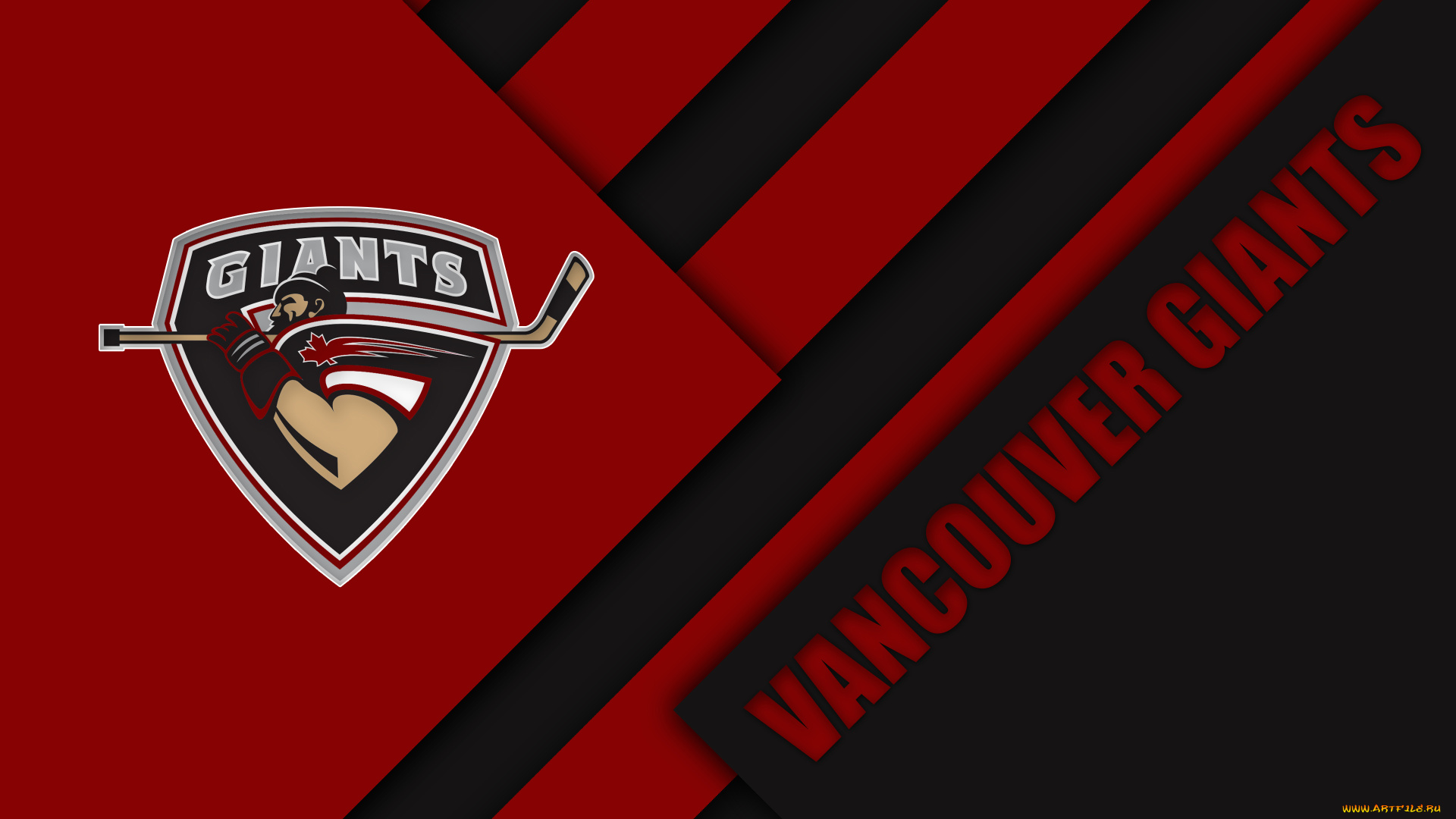 спорт, эмблемы, клубов, полосы, фон, логотип, цвет, линии