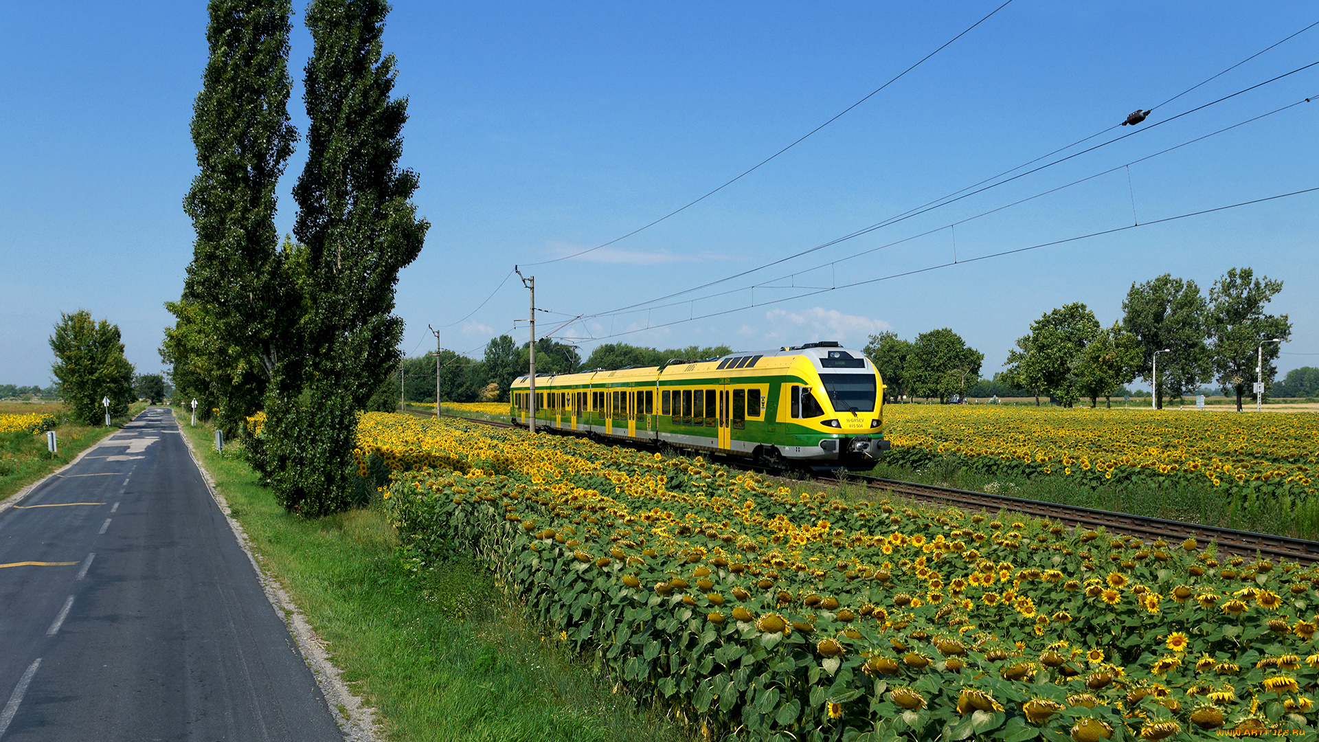 техника, поезда, простор