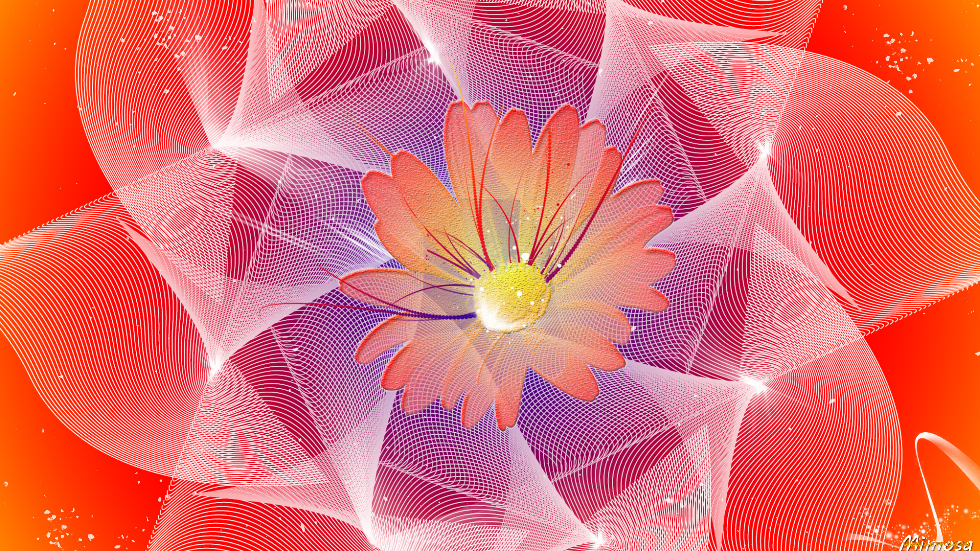 векторная, графика, графика, , graphics, цвет, фон, узоор