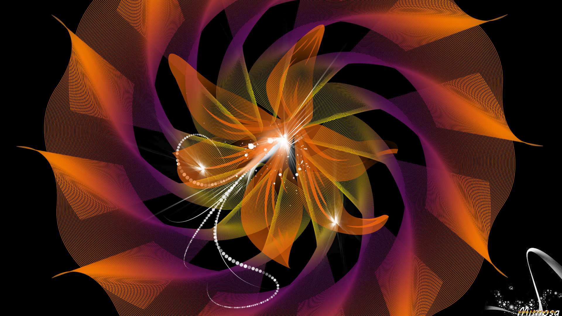 векторная, графика, графика, , graphics, фон, узоор, цвет