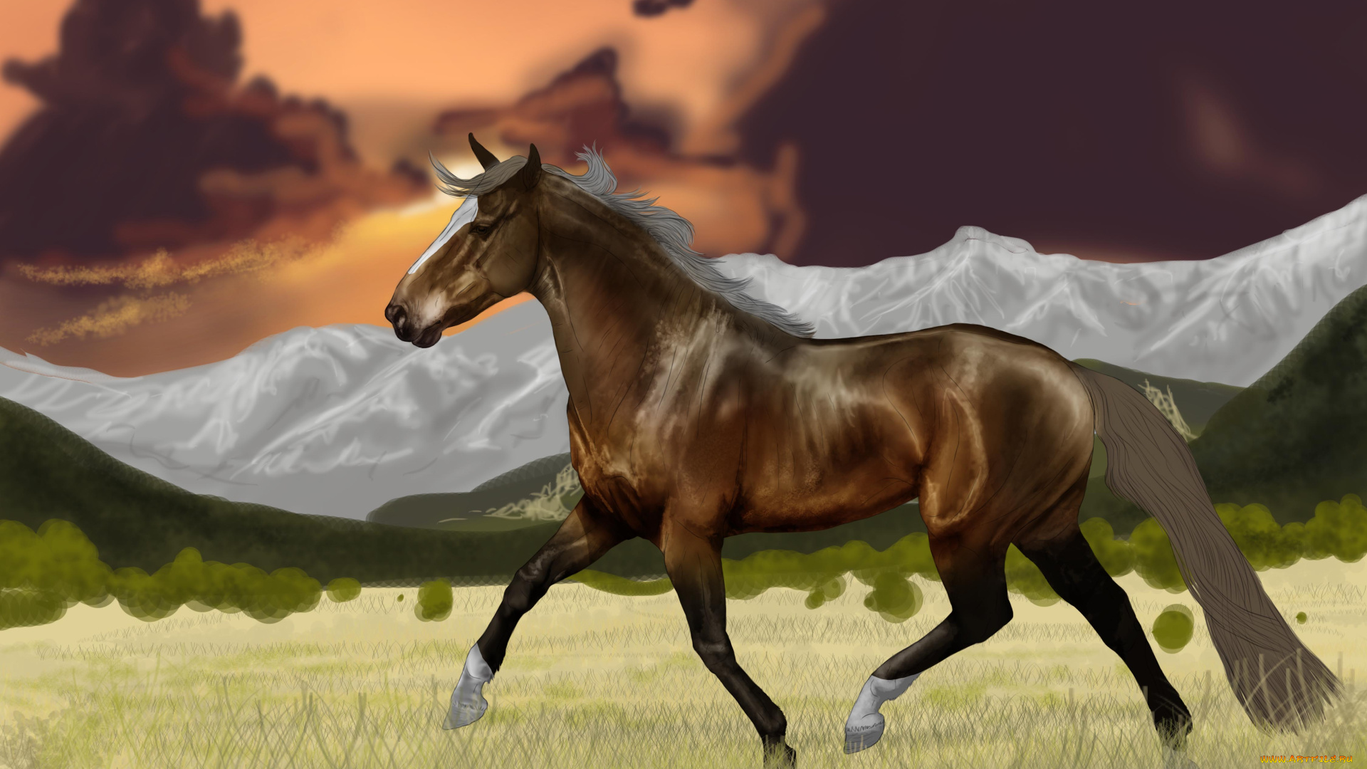 векторная, графика, животные, , animals, лошадь, фон