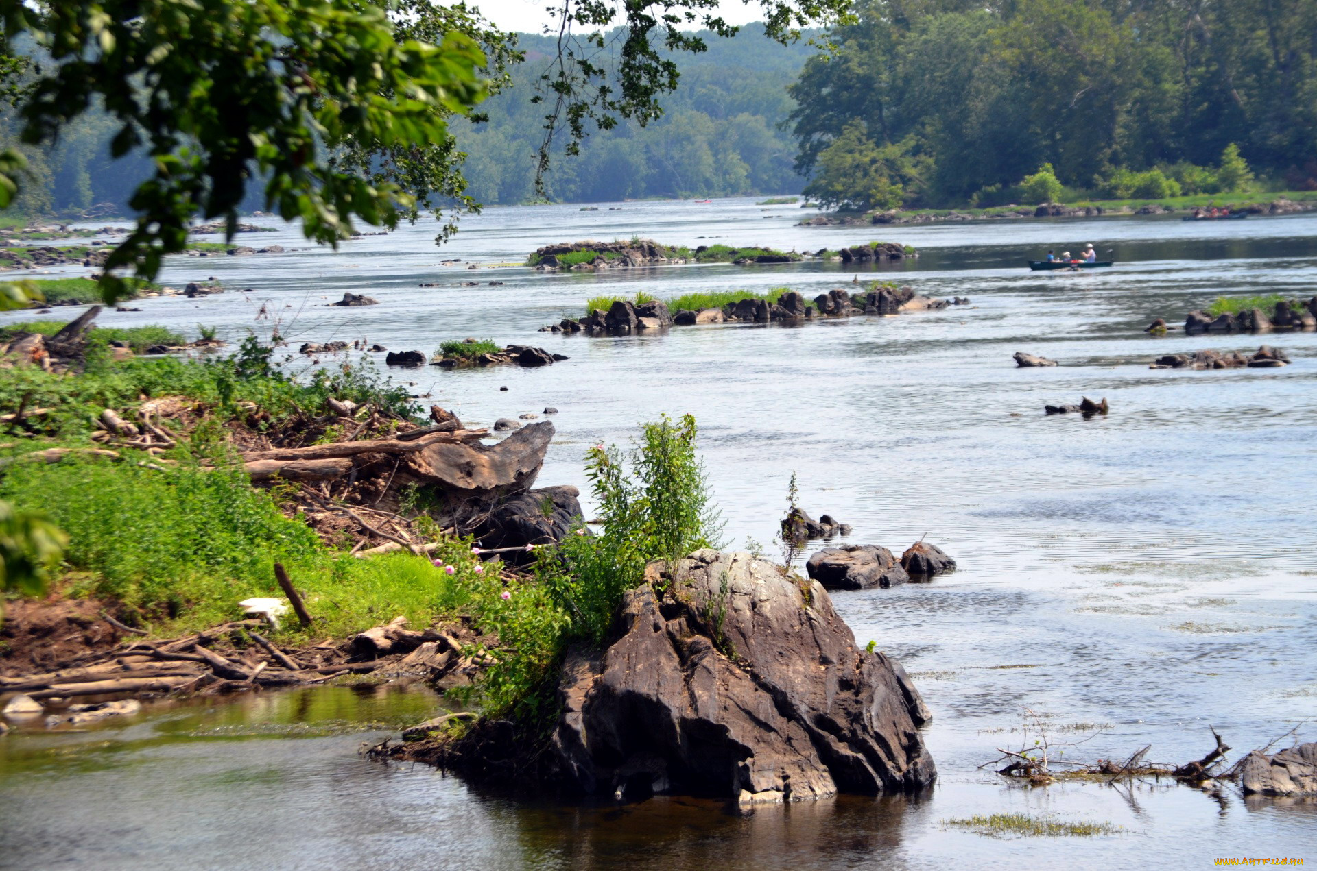 природа, реки, озера, река