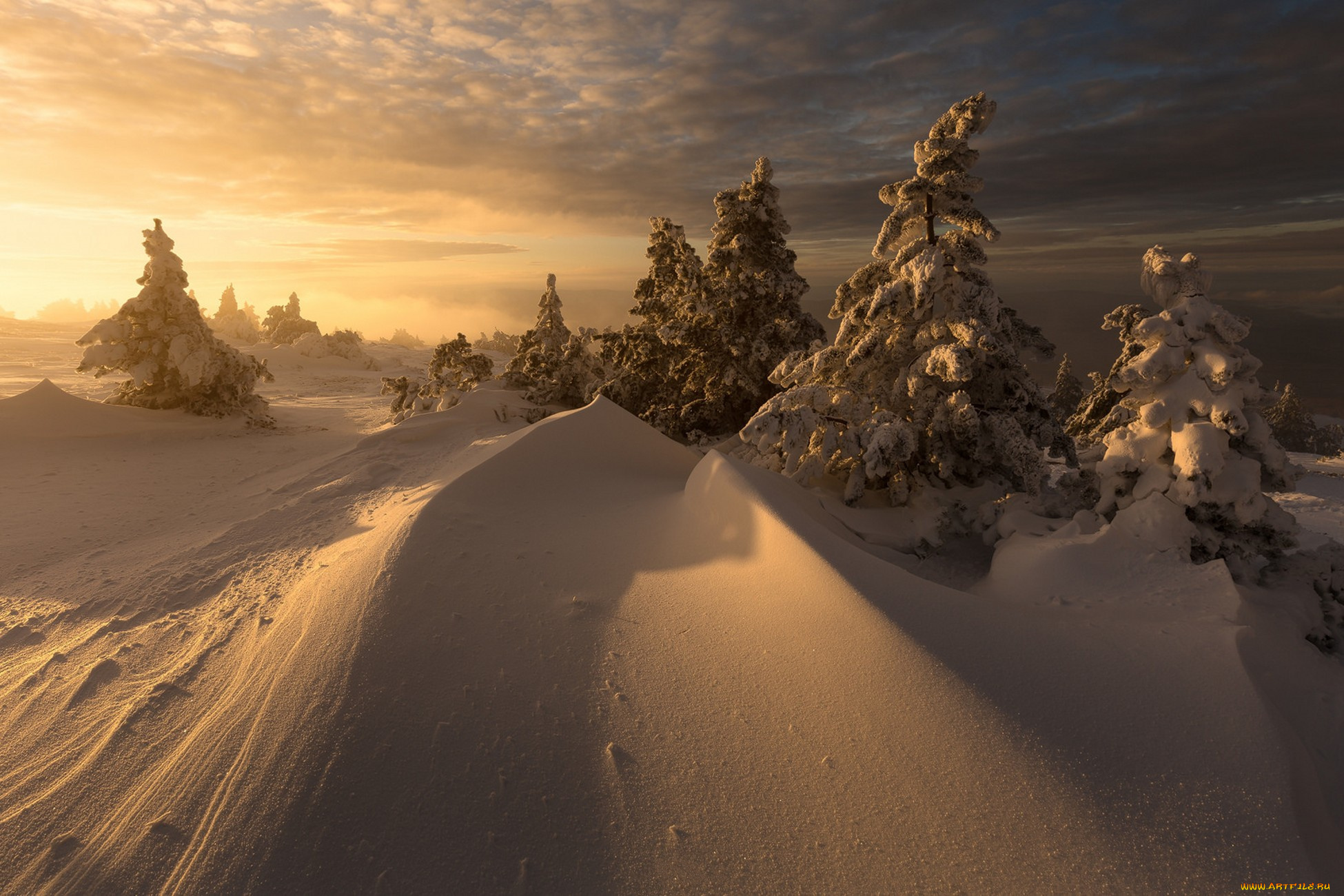 природа, зима, простор