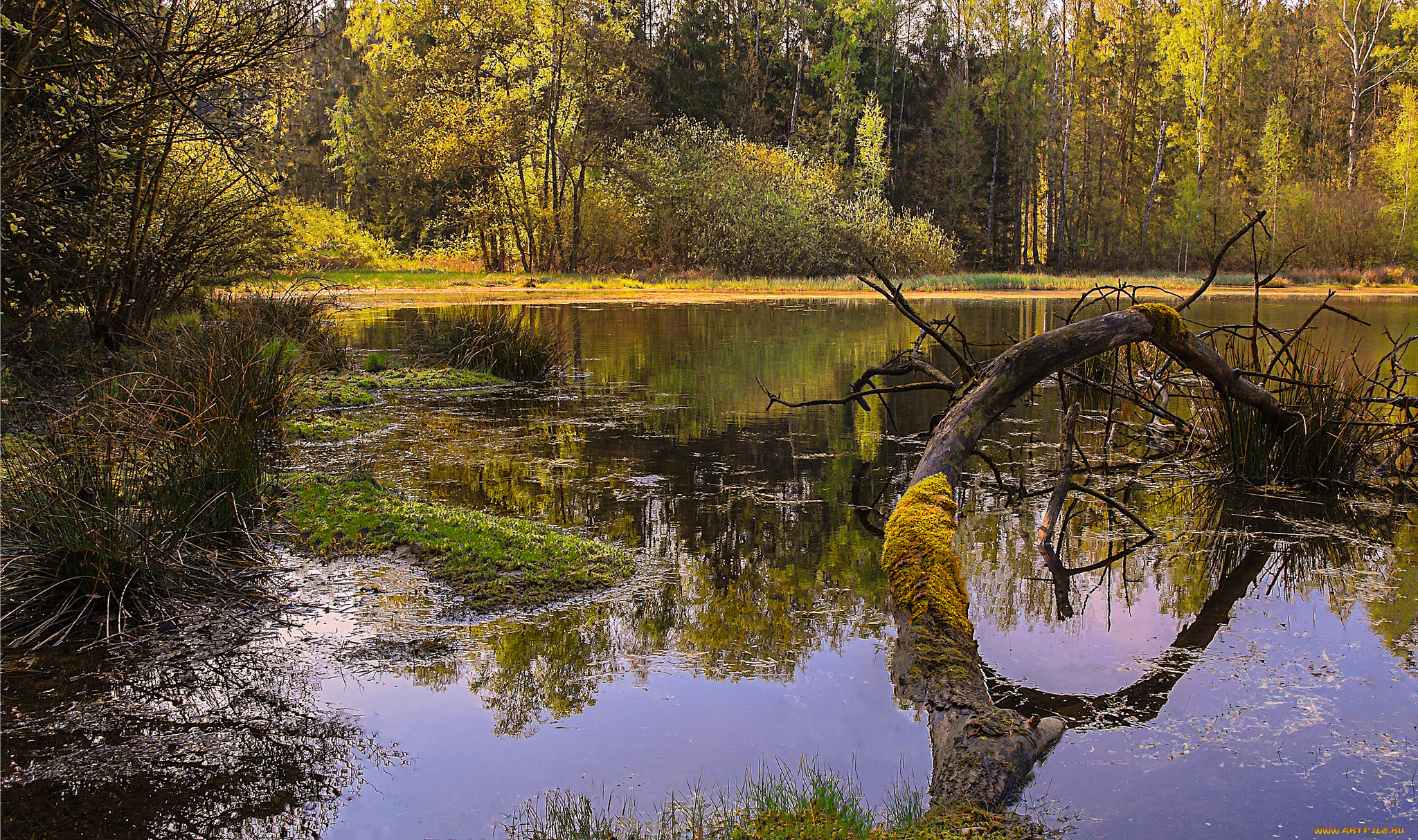 природа, реки, озера, простор