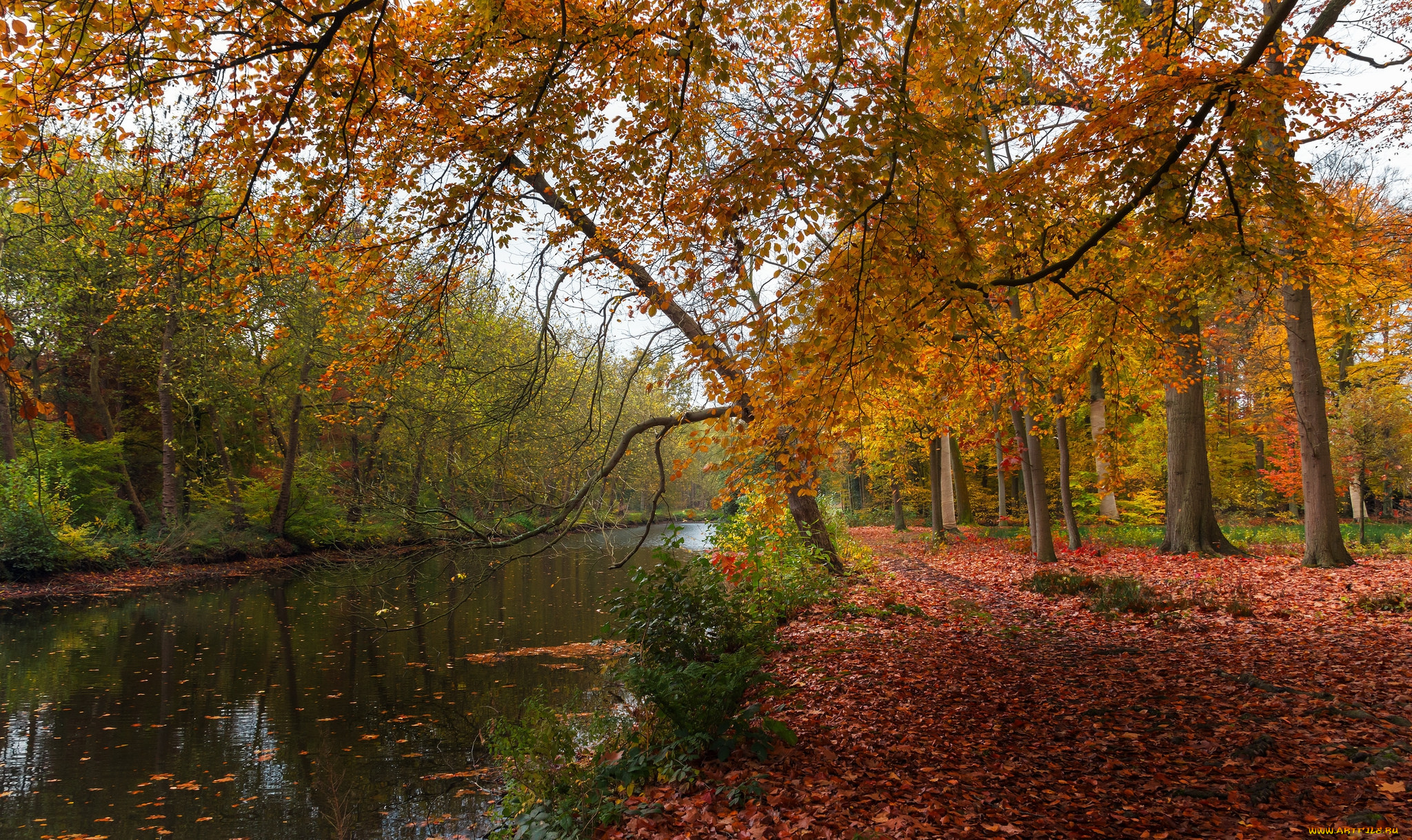 природа, реки, озера, простор